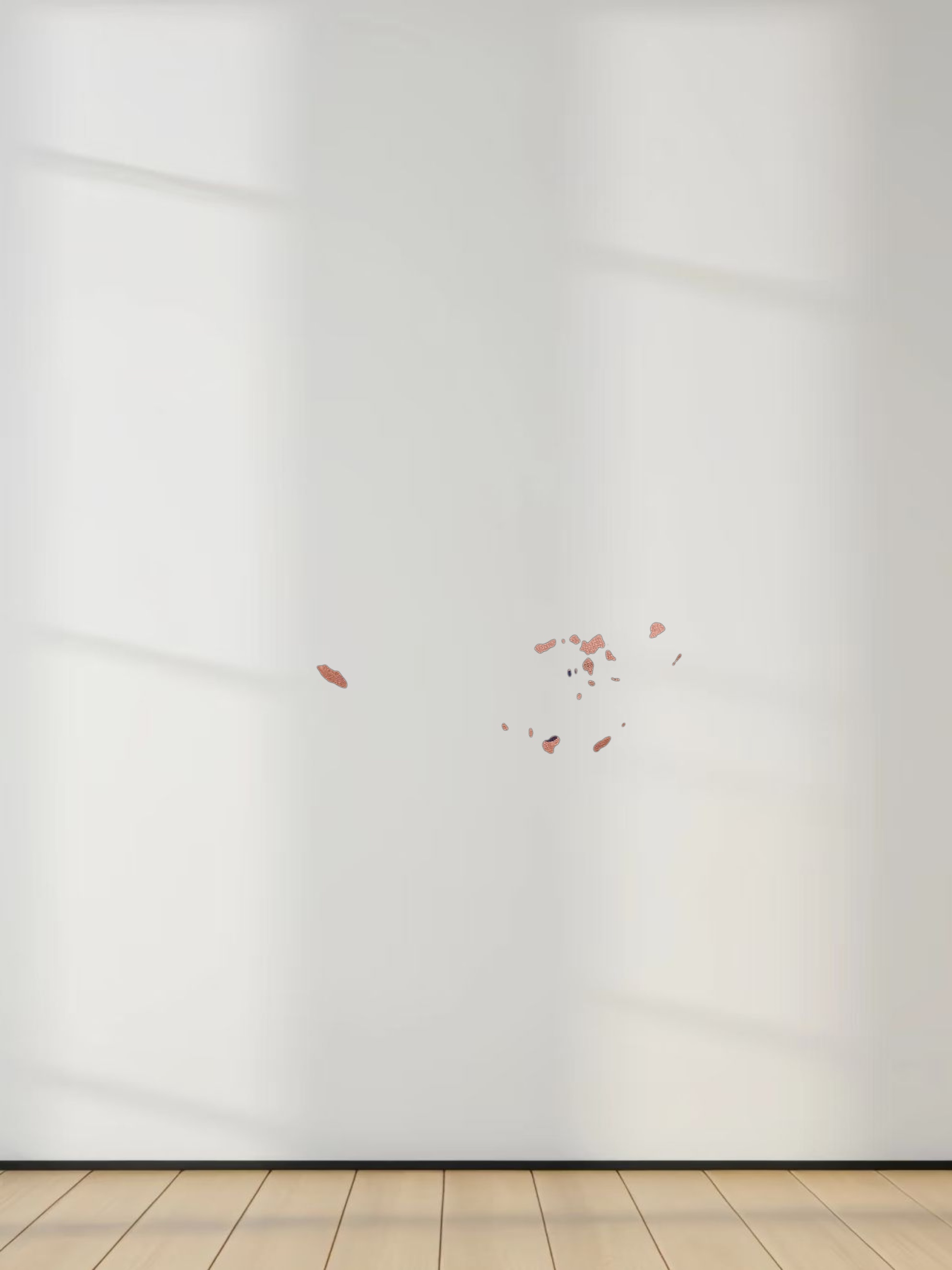 Spaced Dyed Tee-Coral