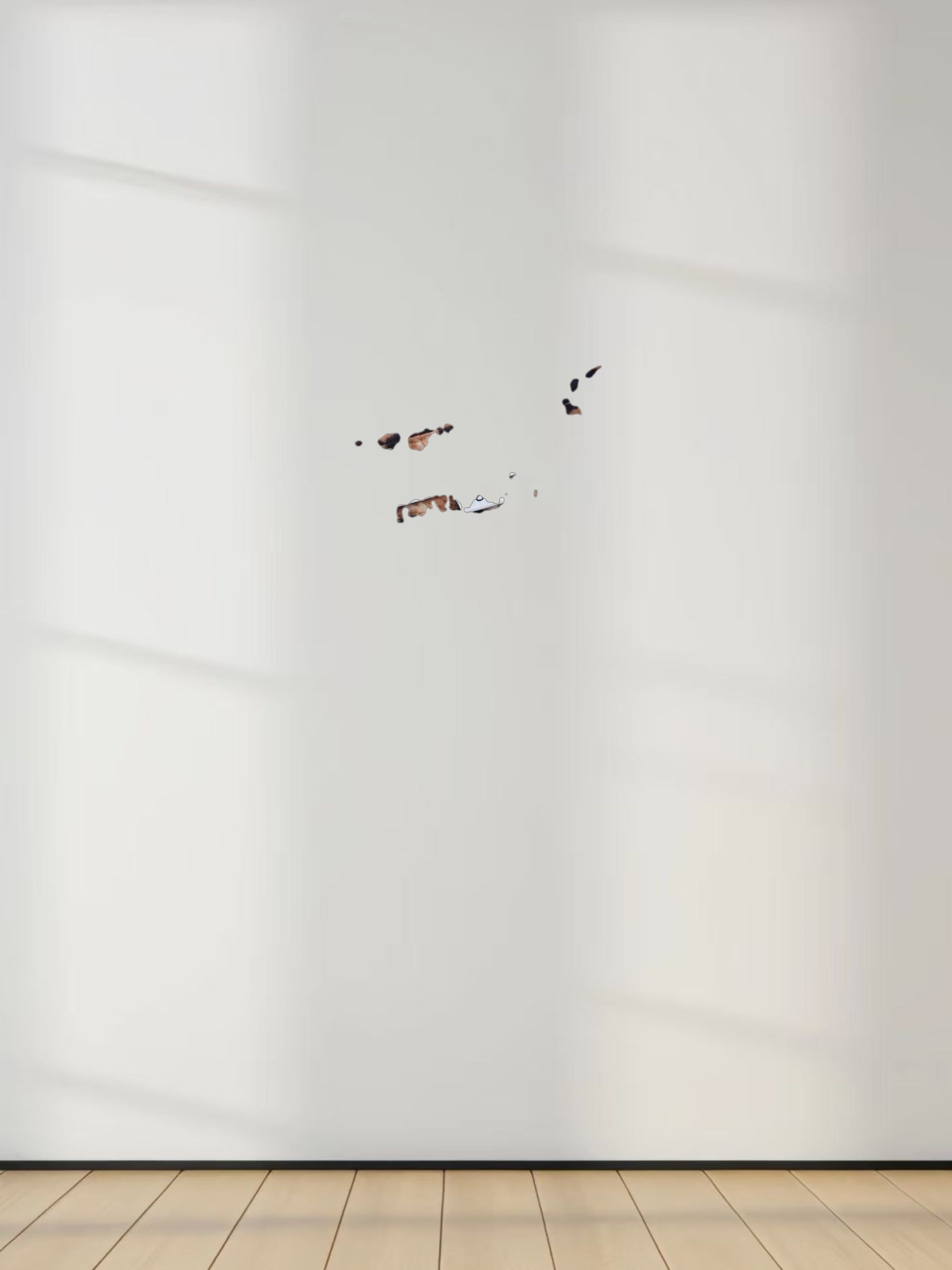 Long Button Down Shirtdress-Leopard Print