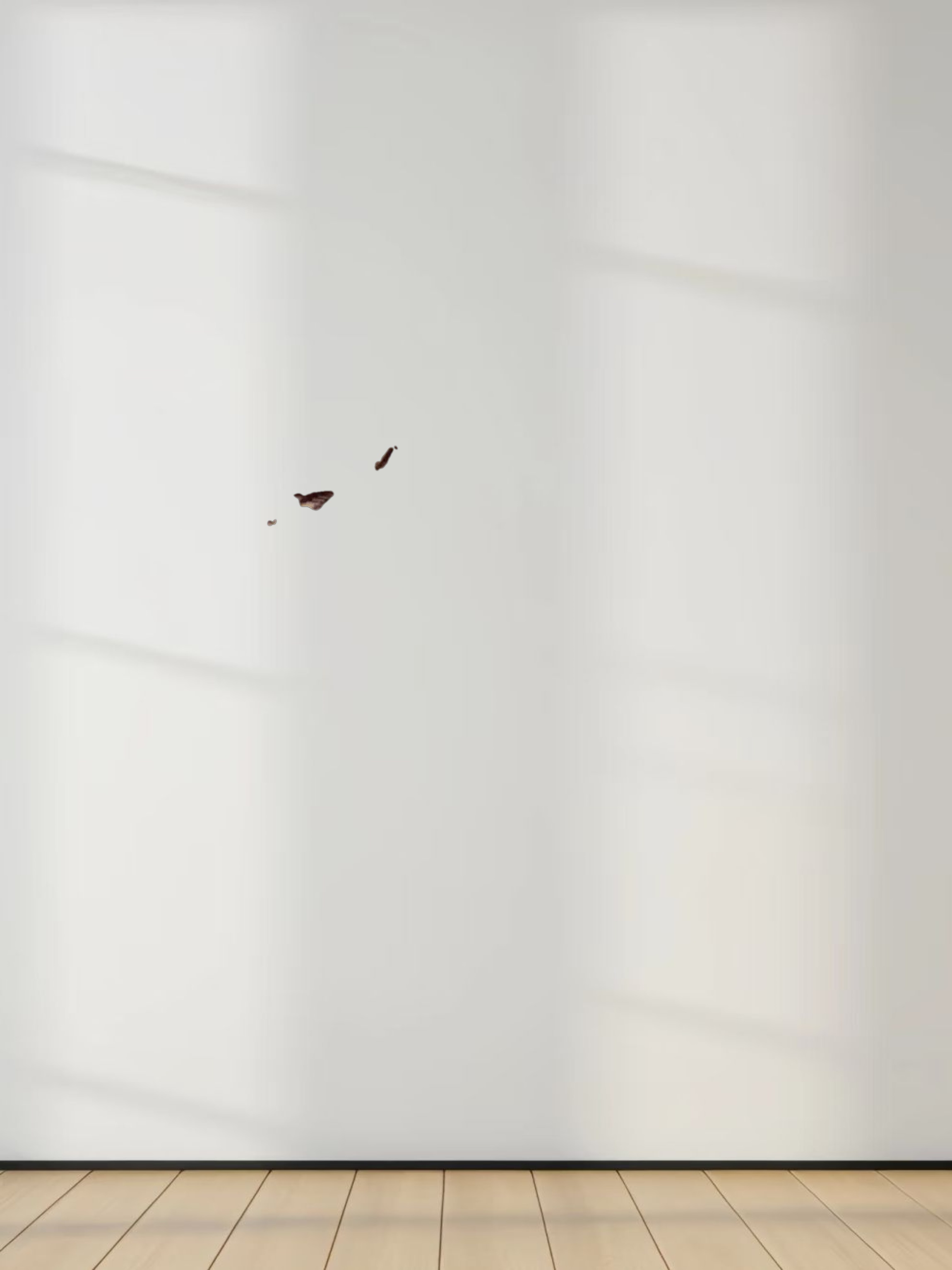 Button Front A-Line Skirt-Brown Plaid