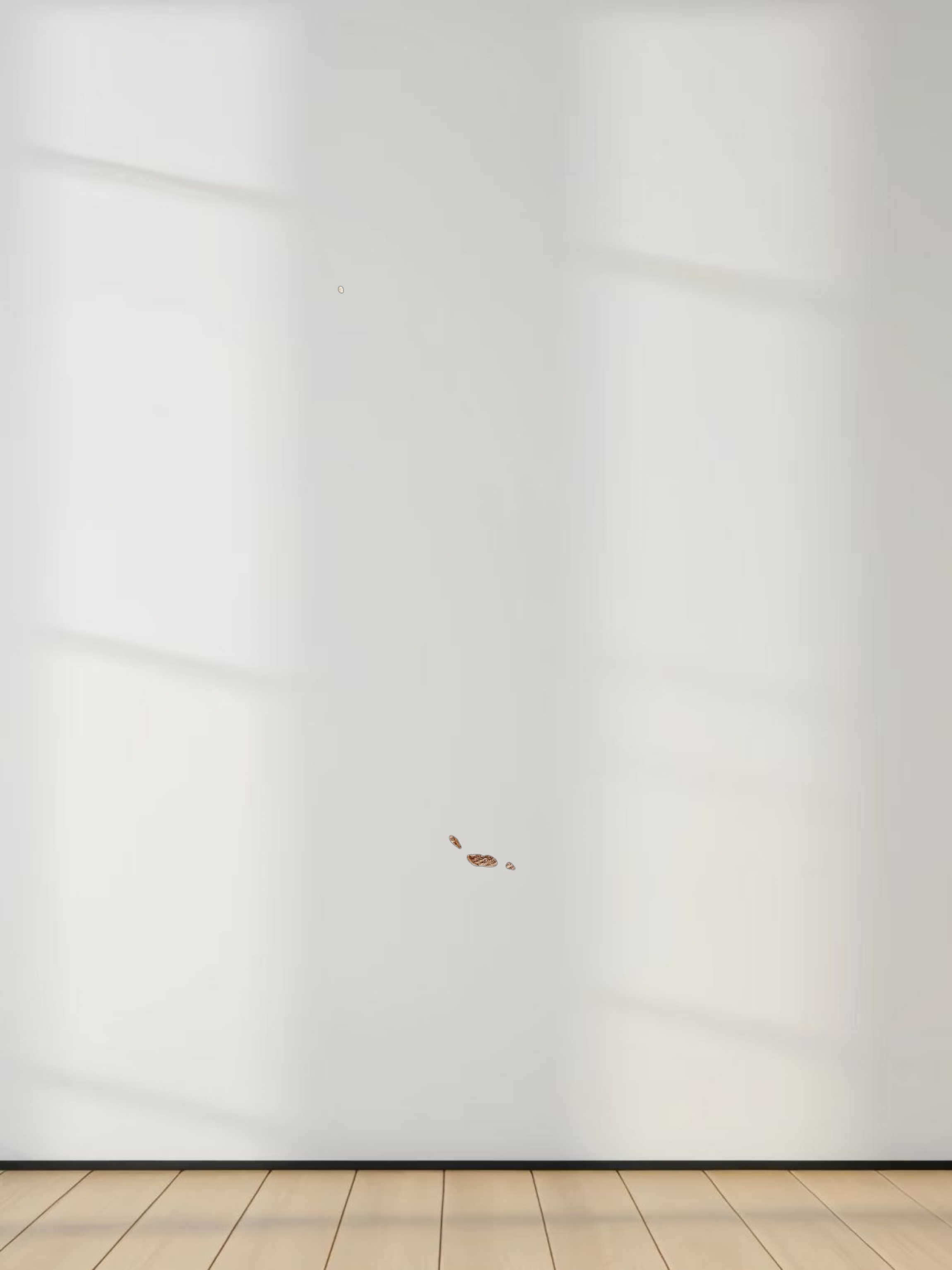 Denim Seamed Skirt-Brown