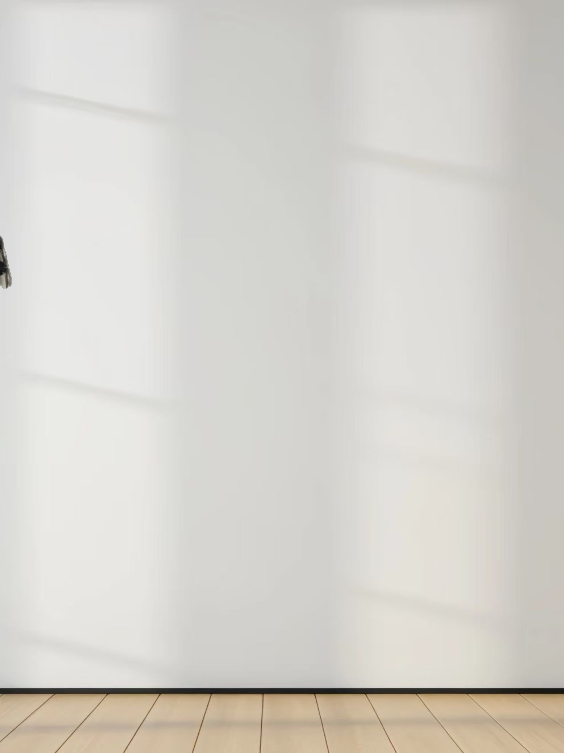 Embellished Sweatshirt-White/Black