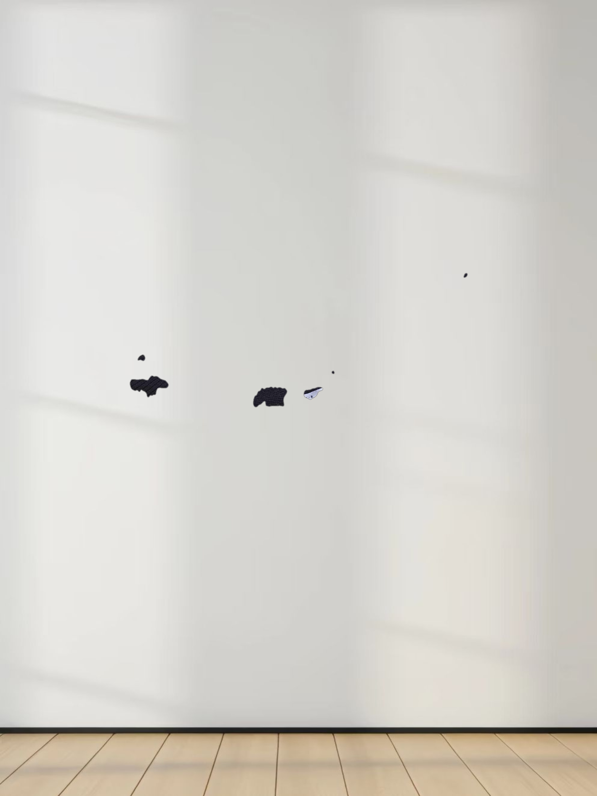 Embroidered Sweatshirt-Black