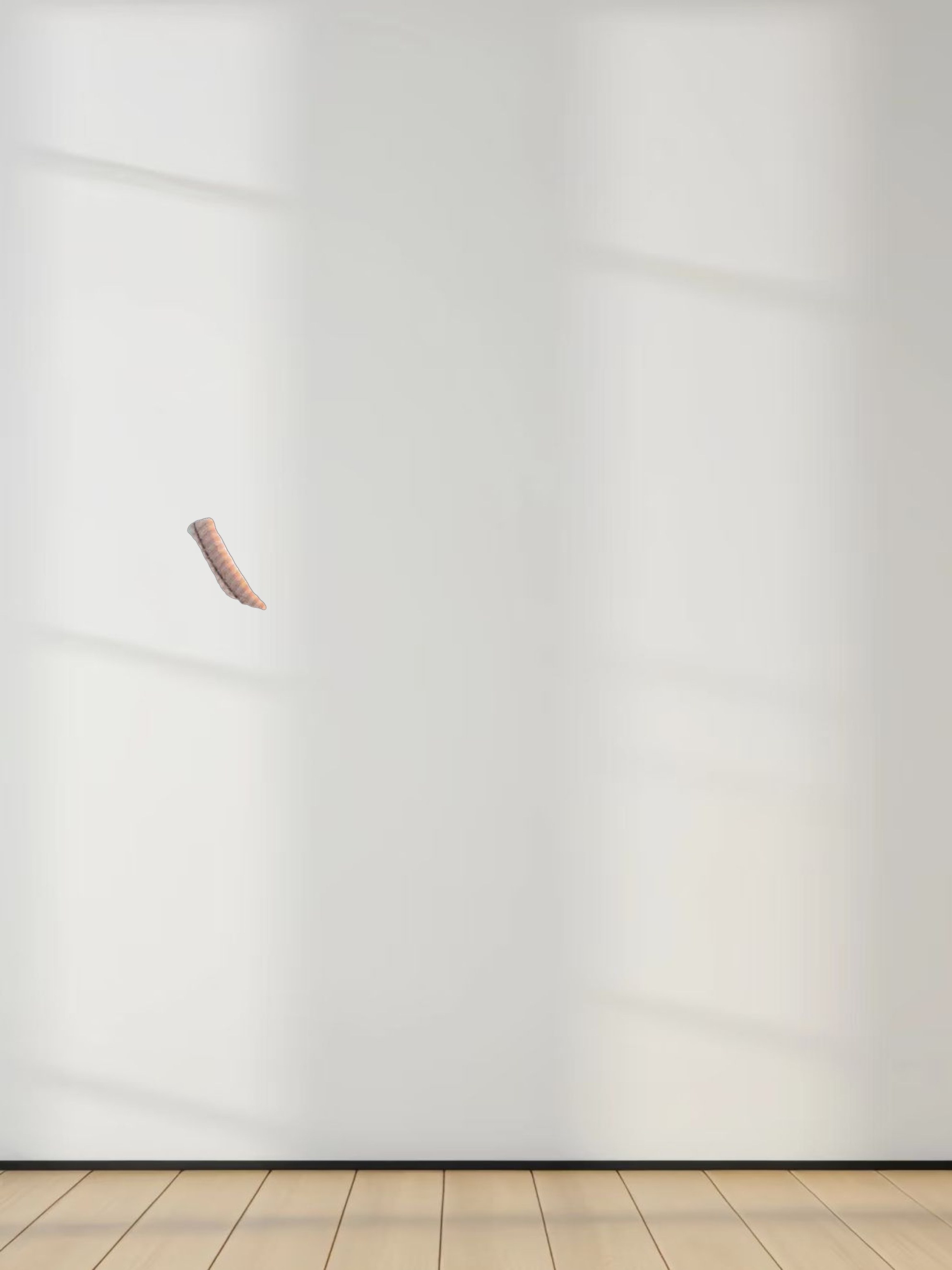 Ribbed Striped Crew 3/4 Sleeve-Brown/Ivory