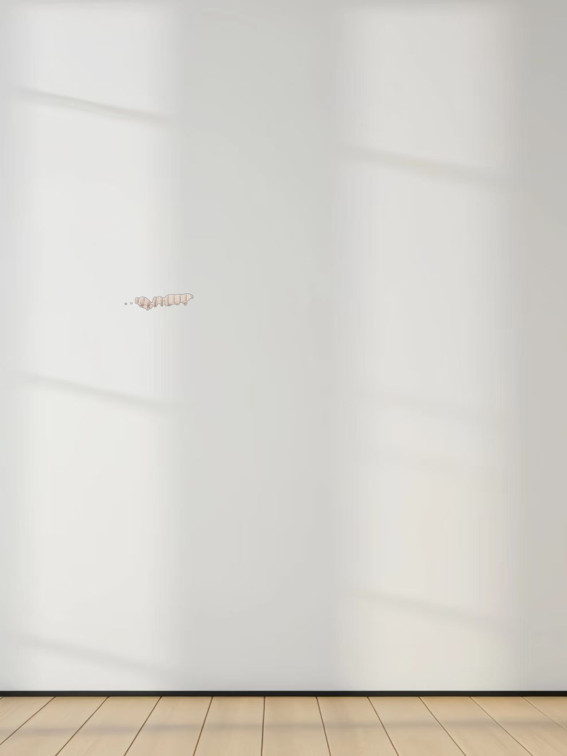 Crew Ribbed Dolman-Tan