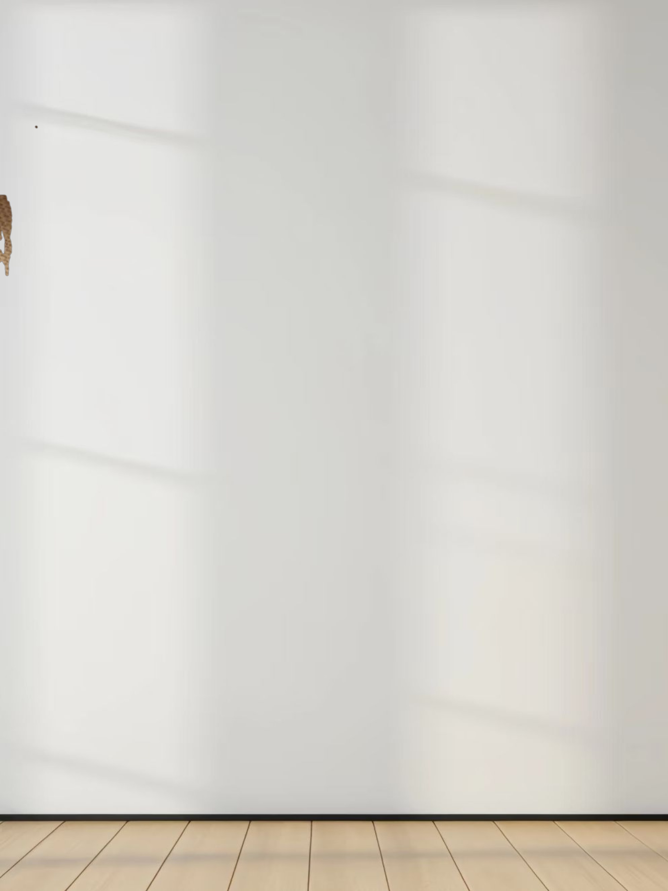 Drawstring Button Down Linen Top-Tan