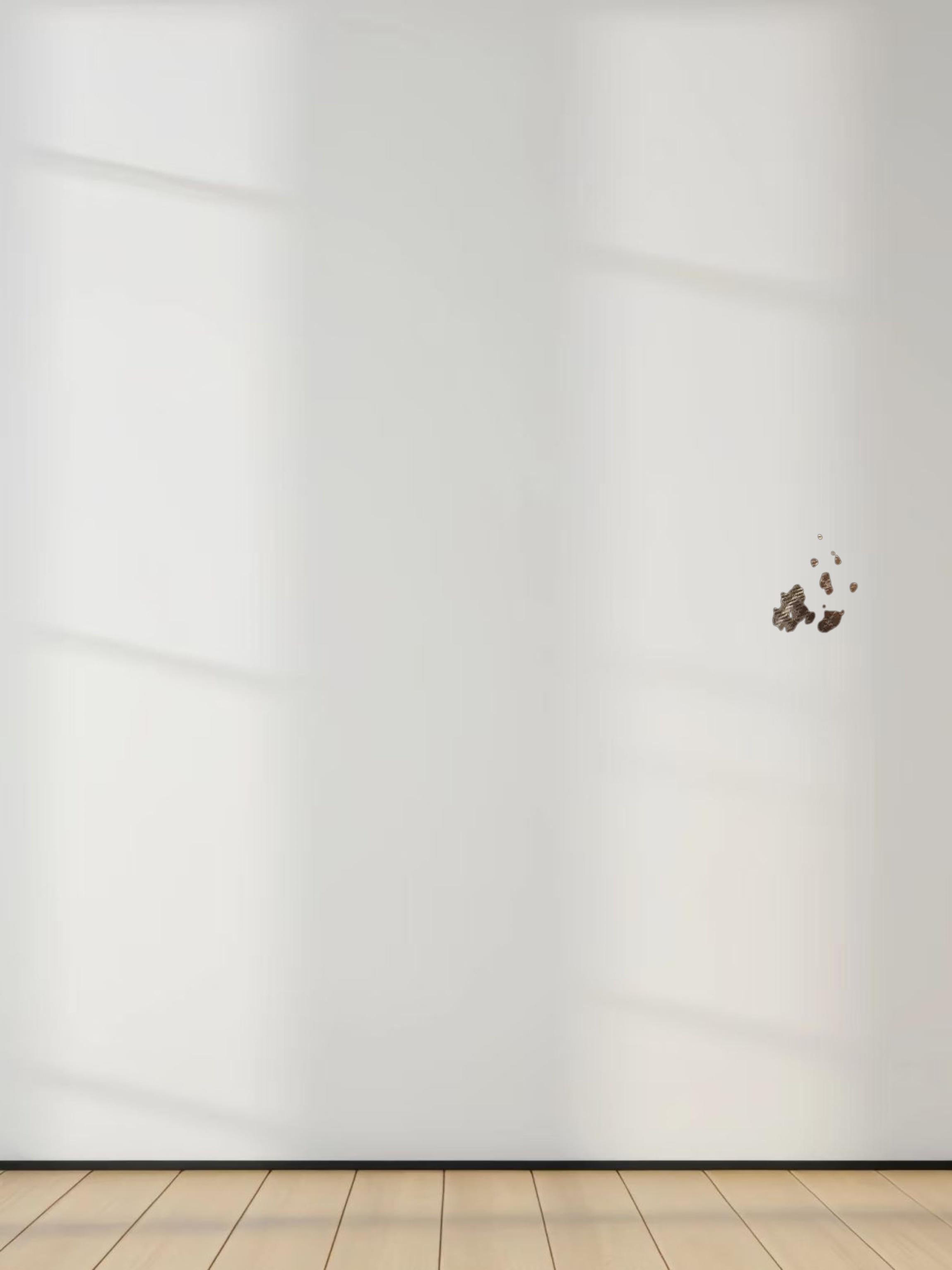 Button Down Blouse-Brown Plaid