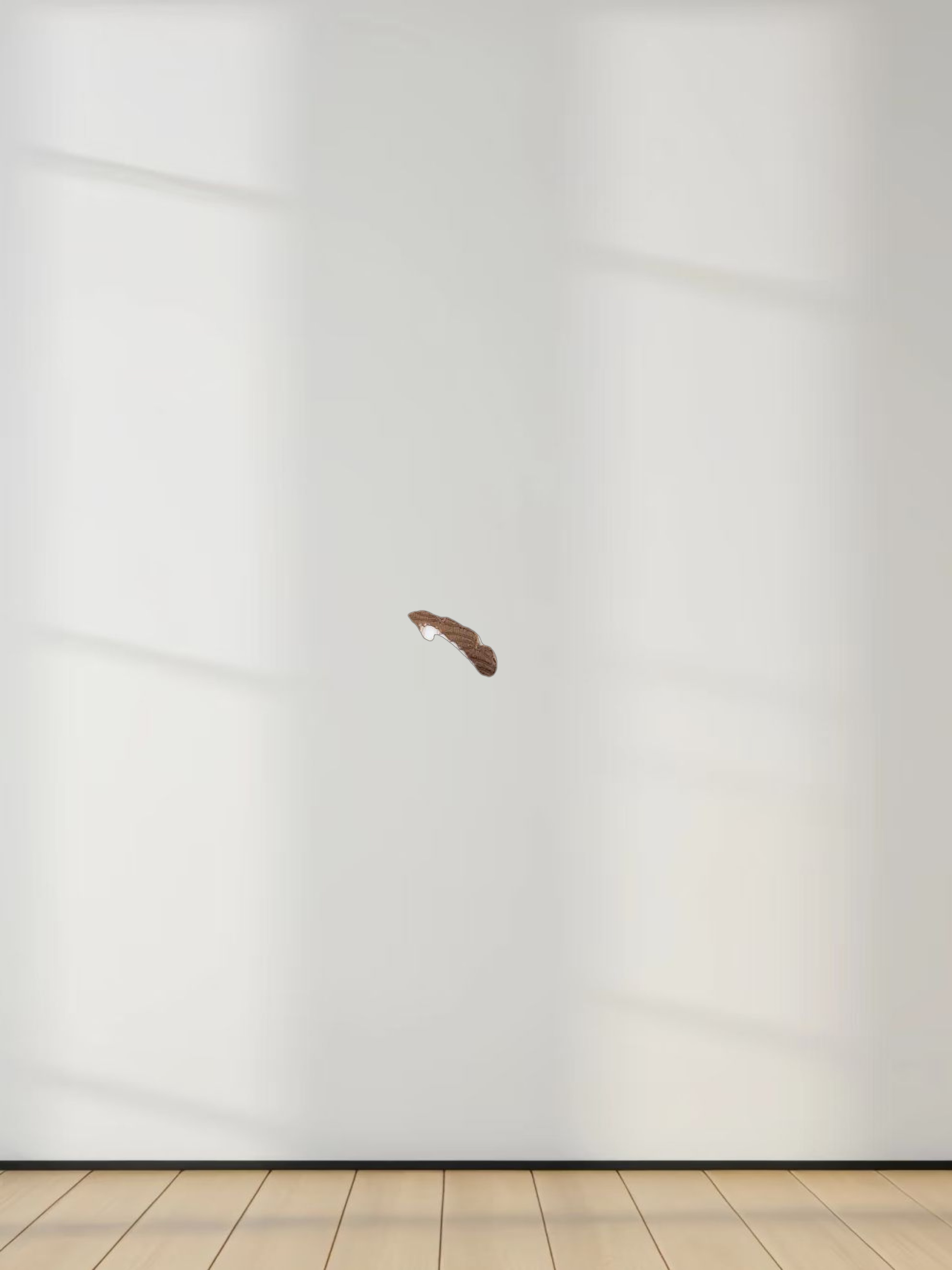 Lace Button Down Cardigan Top-Brown