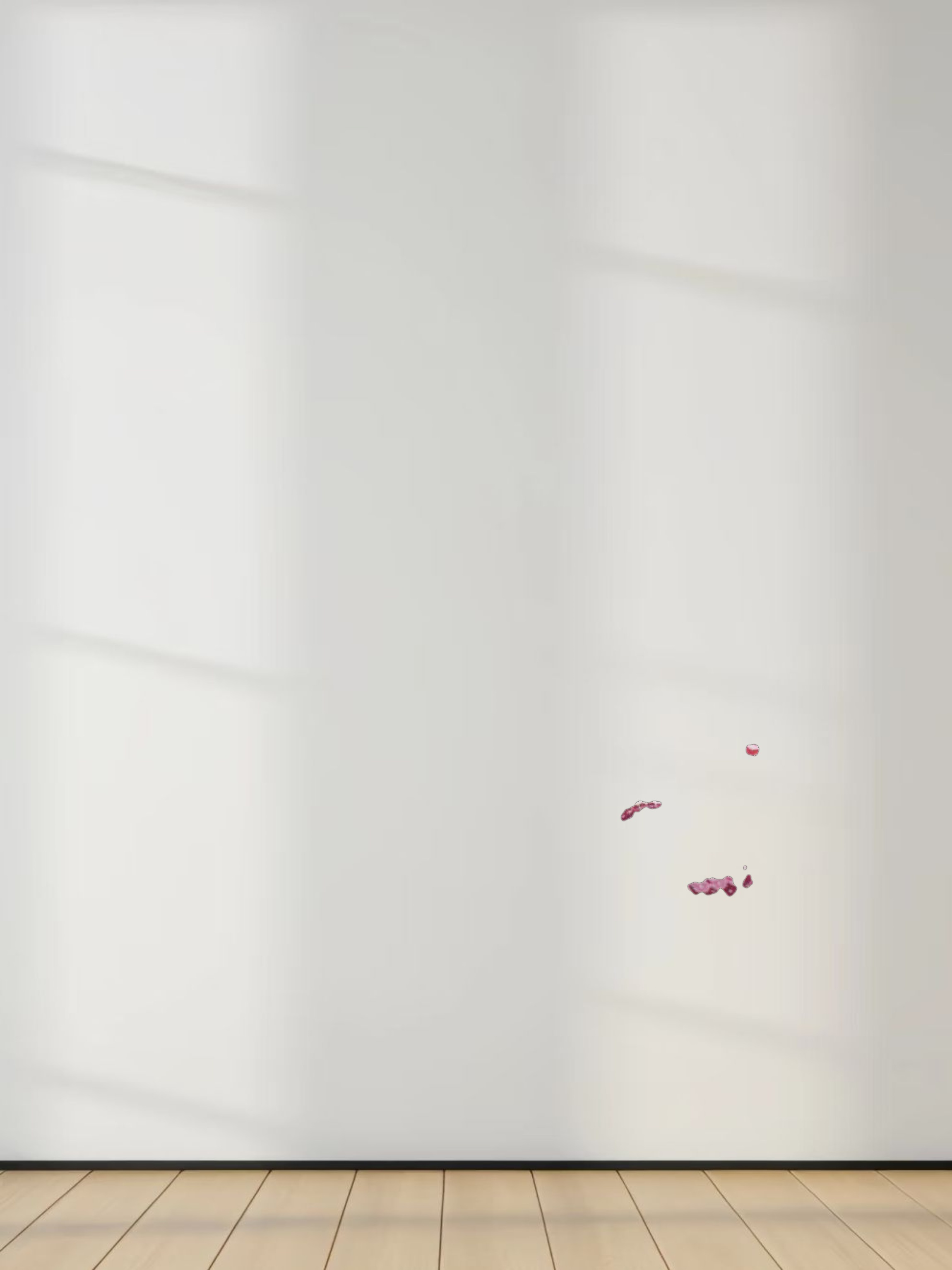 Ruffle Sleeve Belted Dress-Aqua/Pink Floral