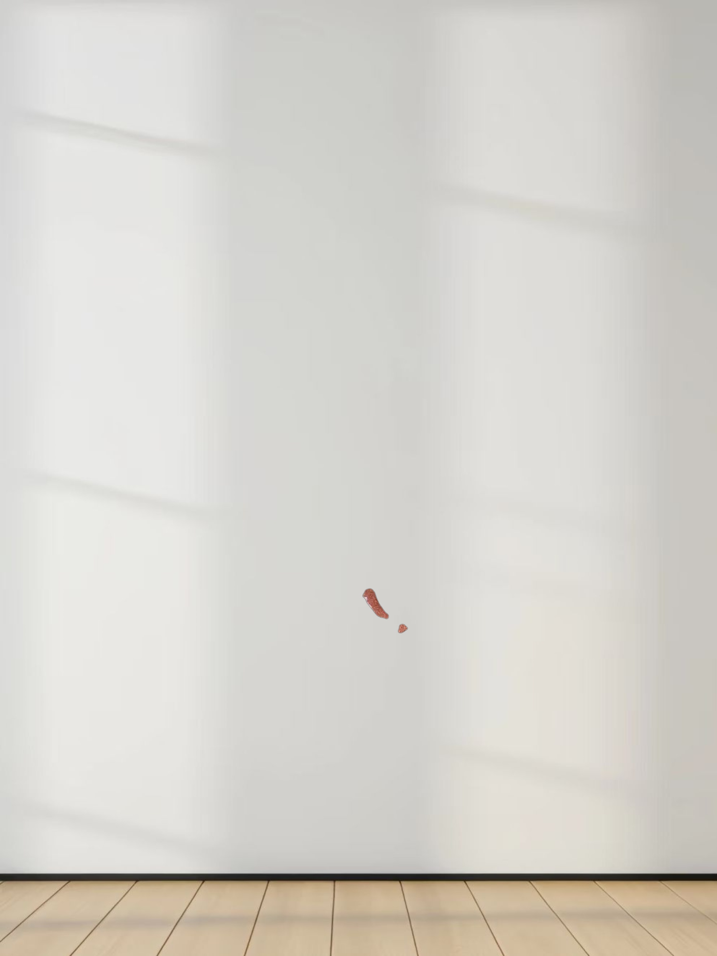 A Line Shirtdress-Brown Floral