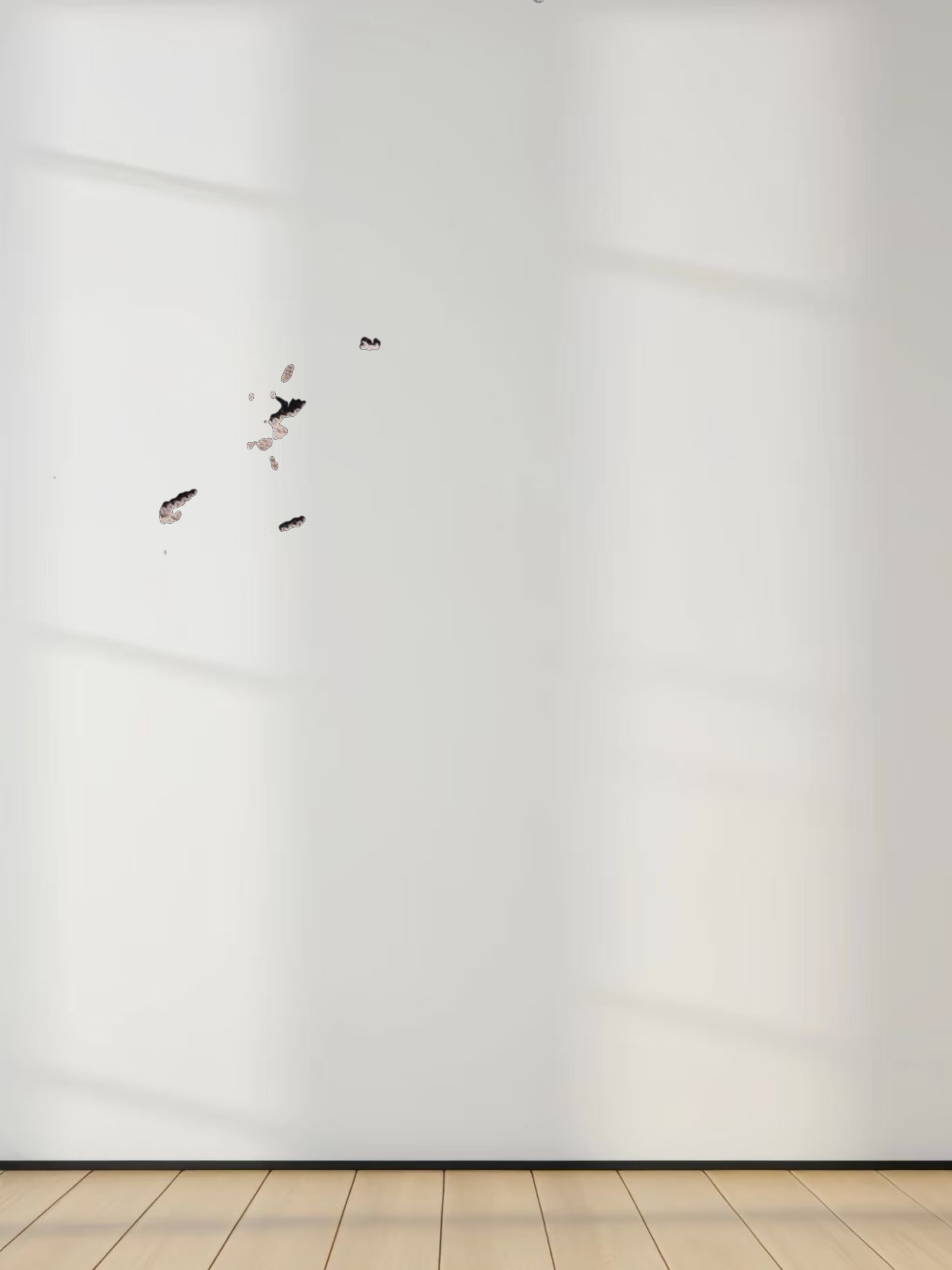 Striped Pointelle Cardigan-Black/Tan