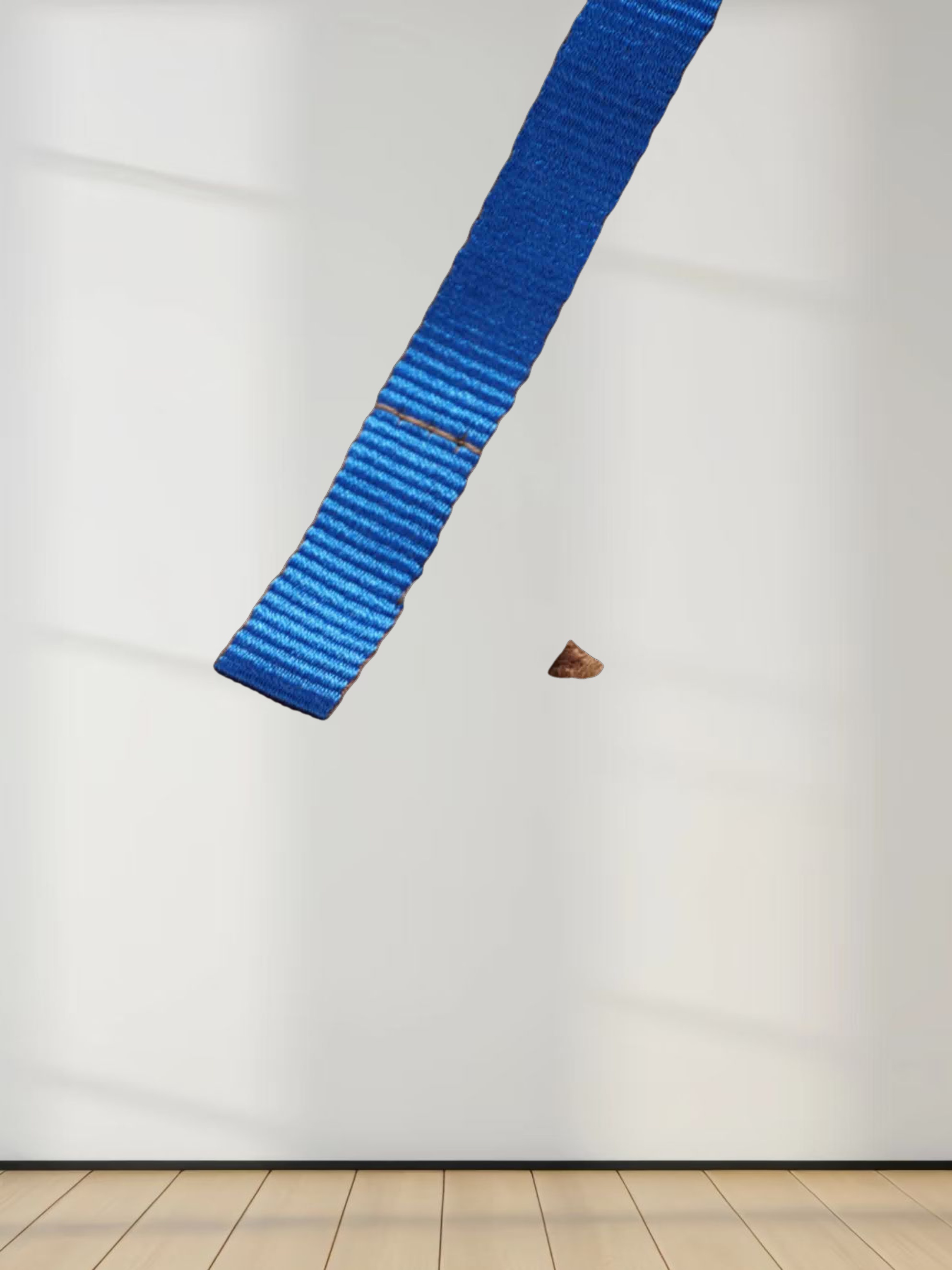 Long Button Down Shirtdress-Brown/Blue Stripe