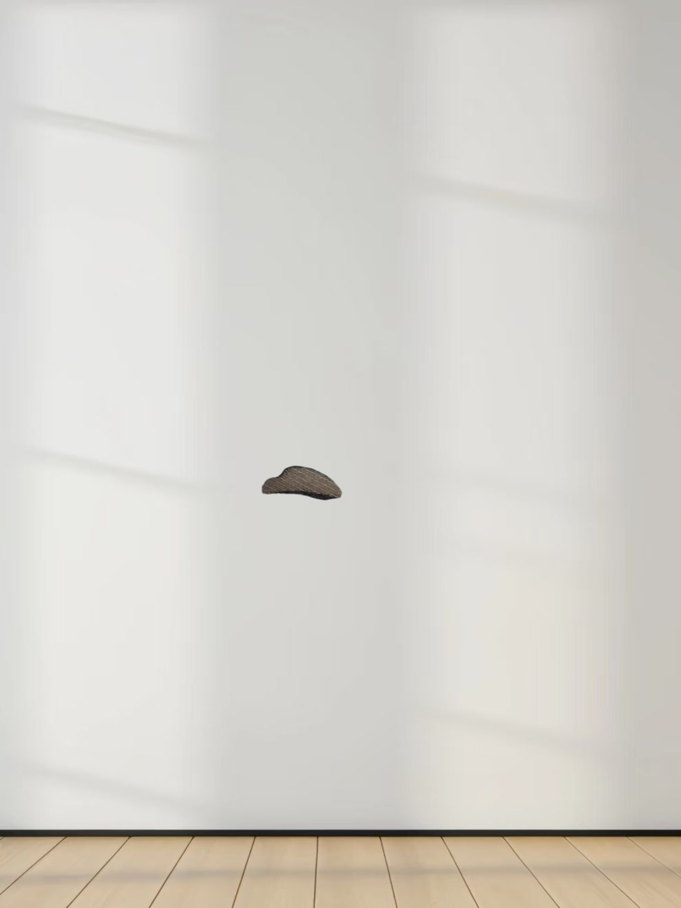 Printed Collar Snap Tee-Carpet of Roses