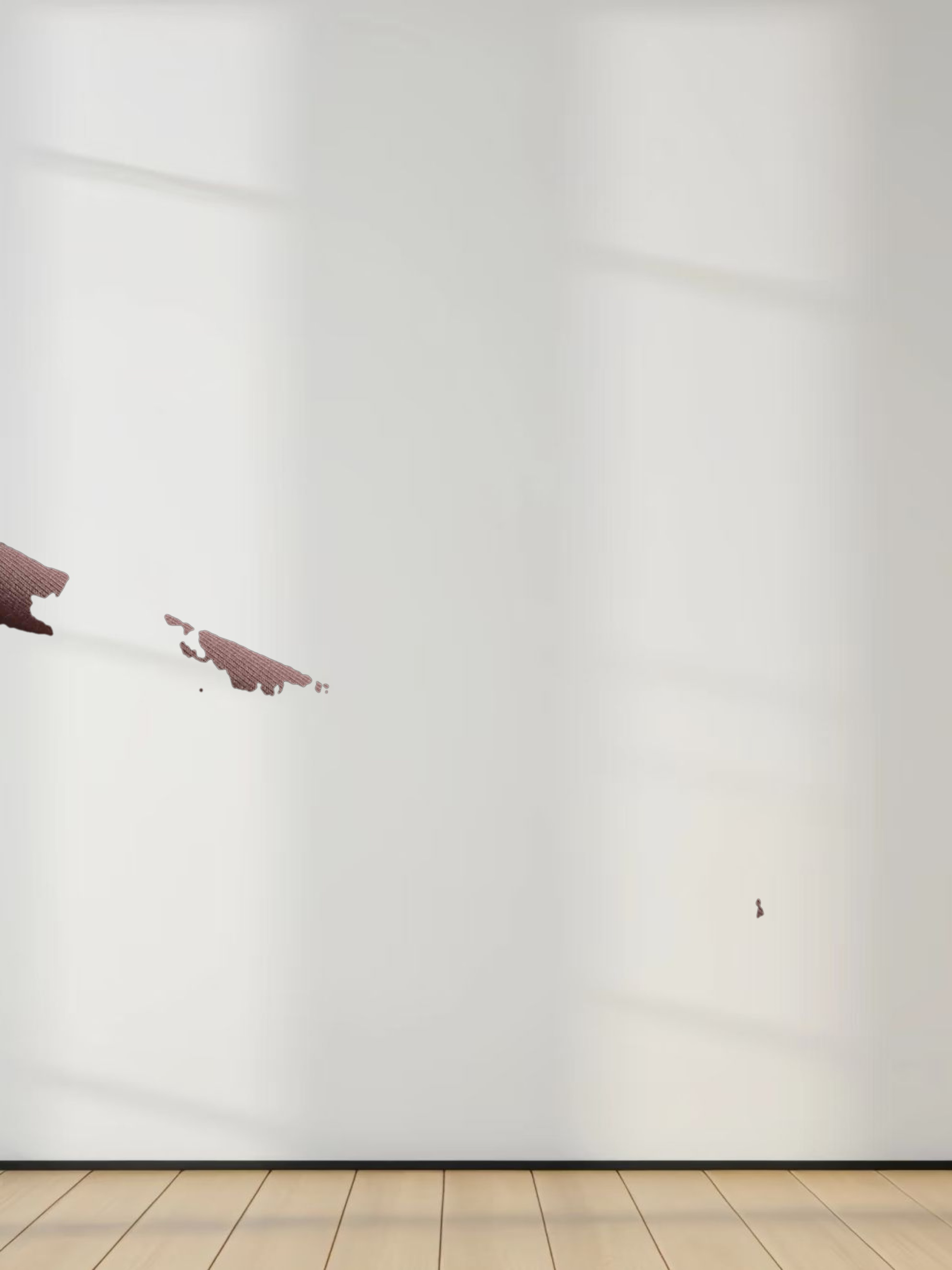 SIDE ELASTIC TEE-BROWN