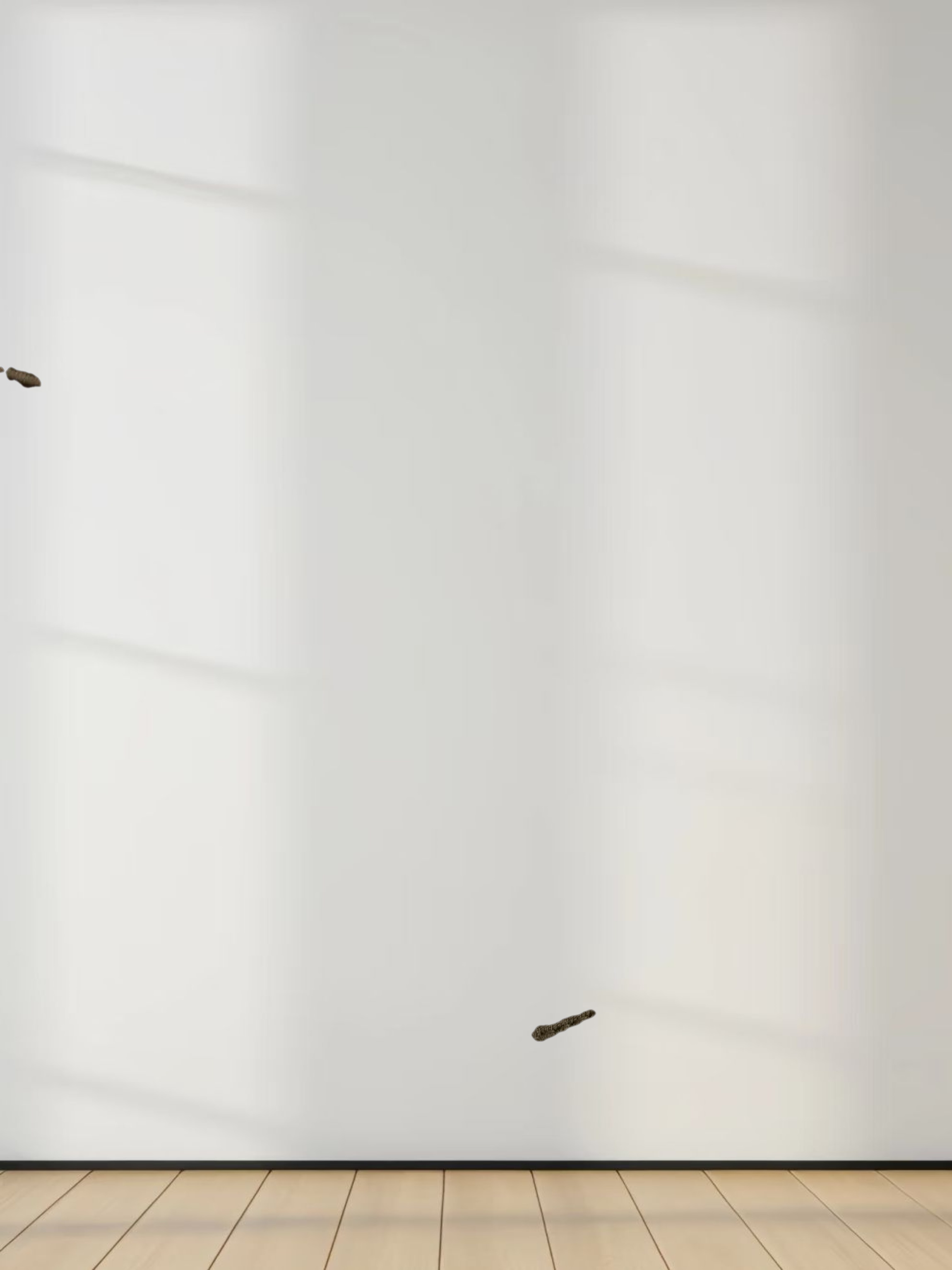 SIDE ELASTIC TEE-OLIVE