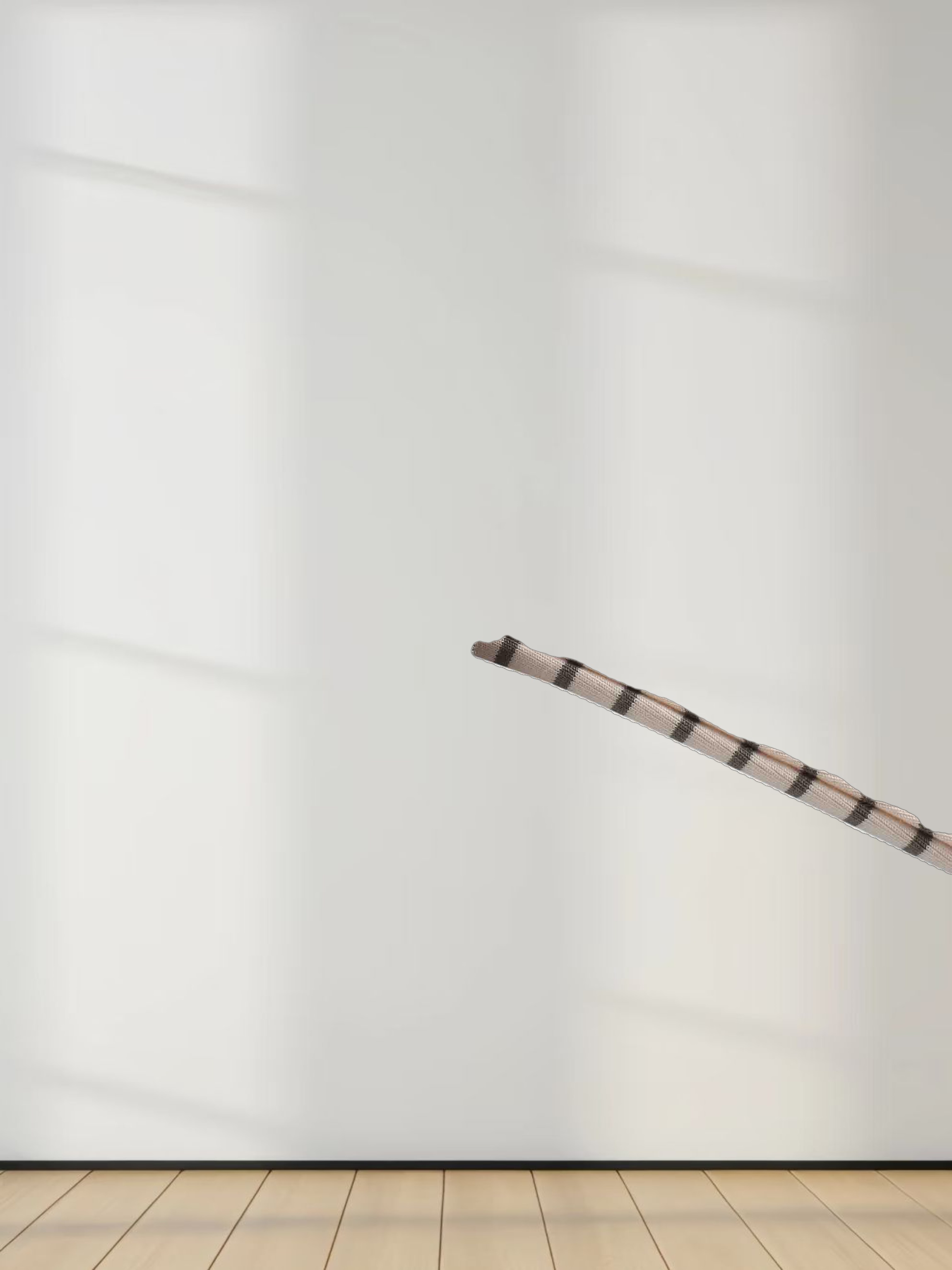 Flat Striped High V Long Sleeve-Pink/Green