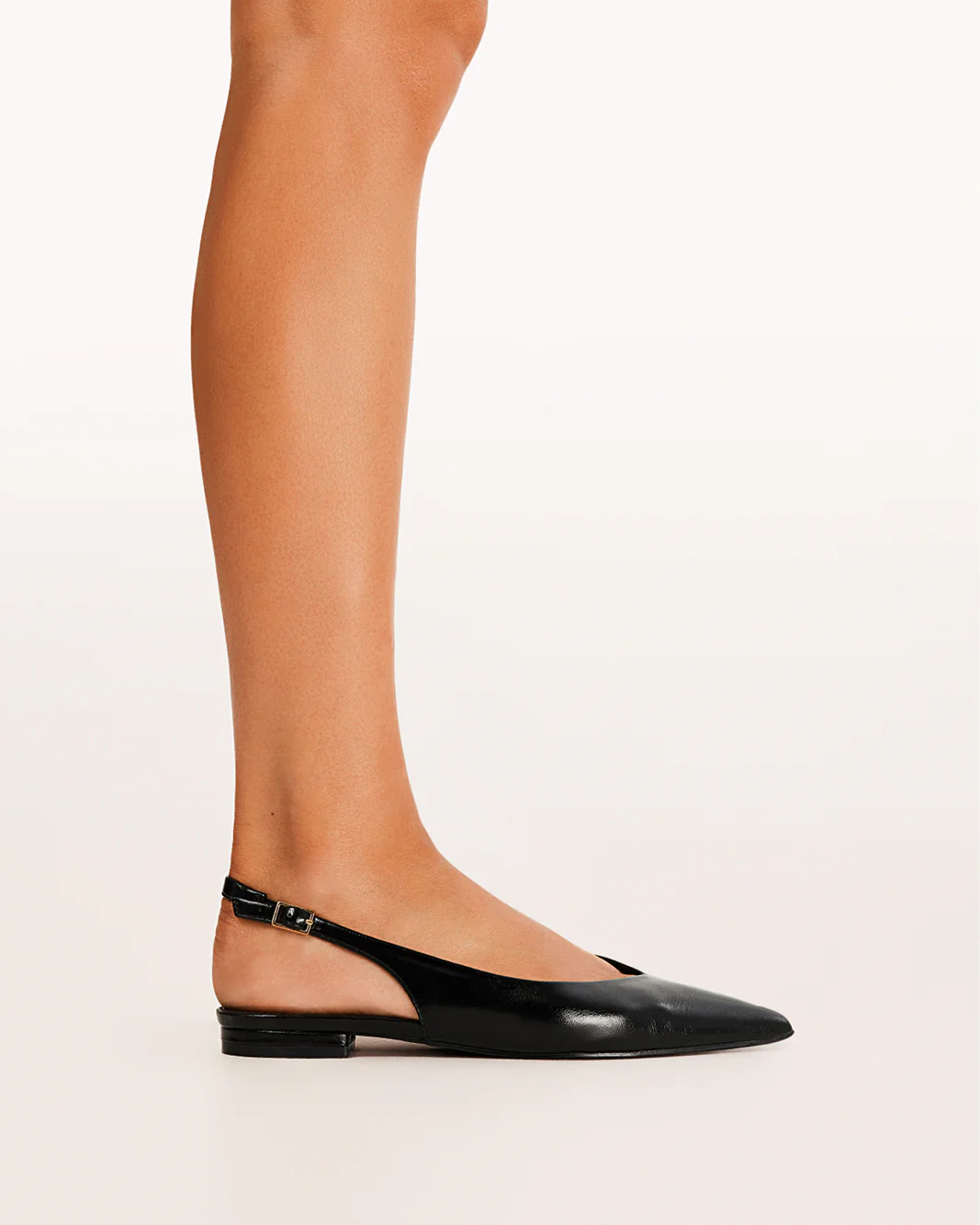 MALANI - BLACK SHINE