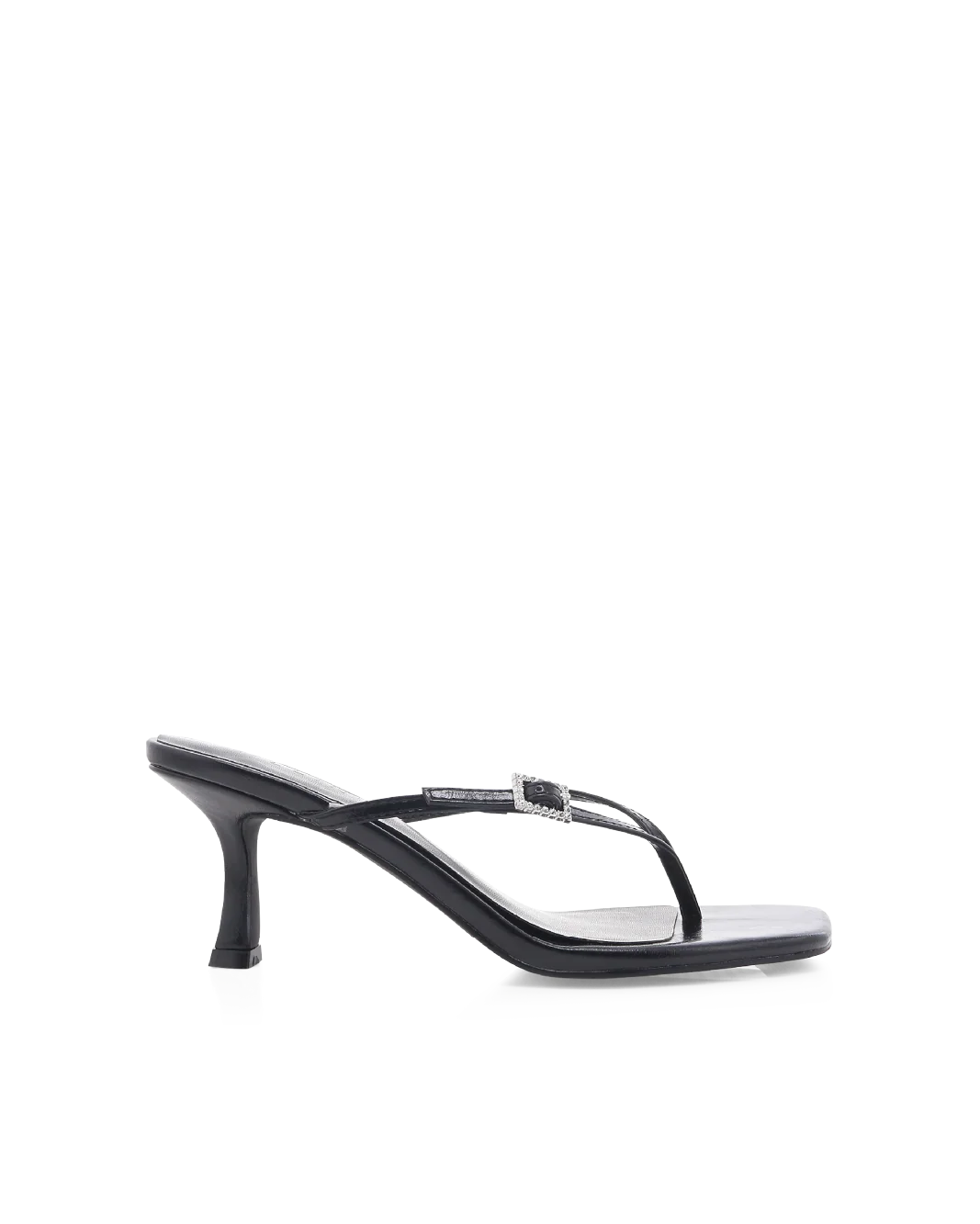 WILDROSE - BLACK SHINE