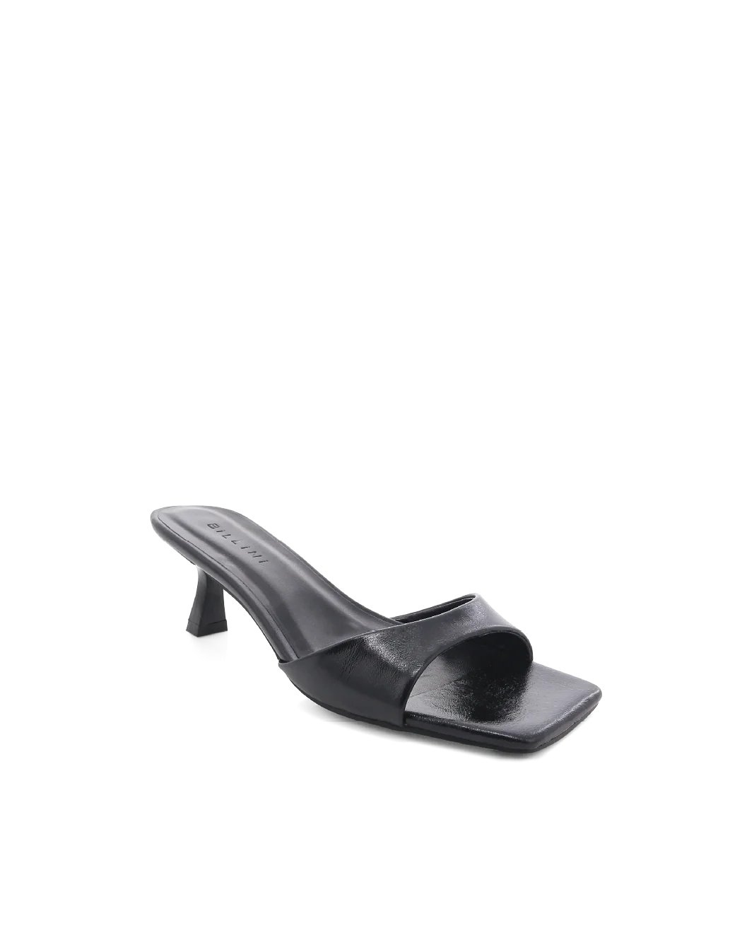 MEADOW - BLACK SHINE