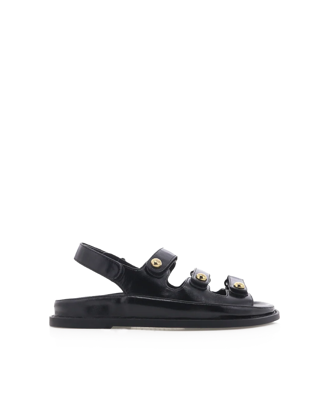 DAMARIS - BLACK SHINE