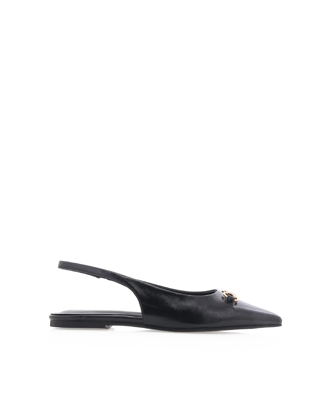 HAVILAH - BLACK SHINE