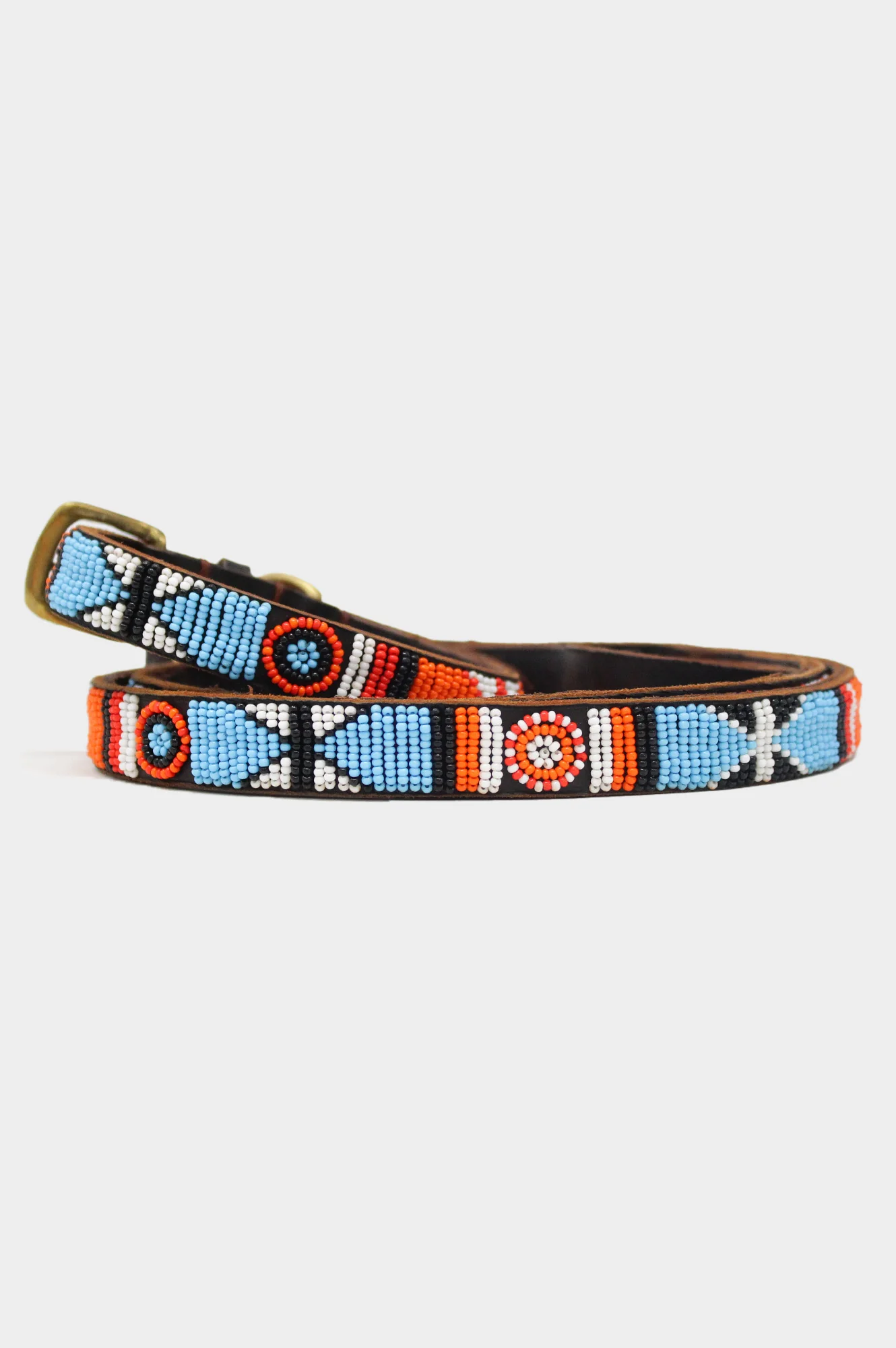 Arrow and Disc Dog Lead | Multi