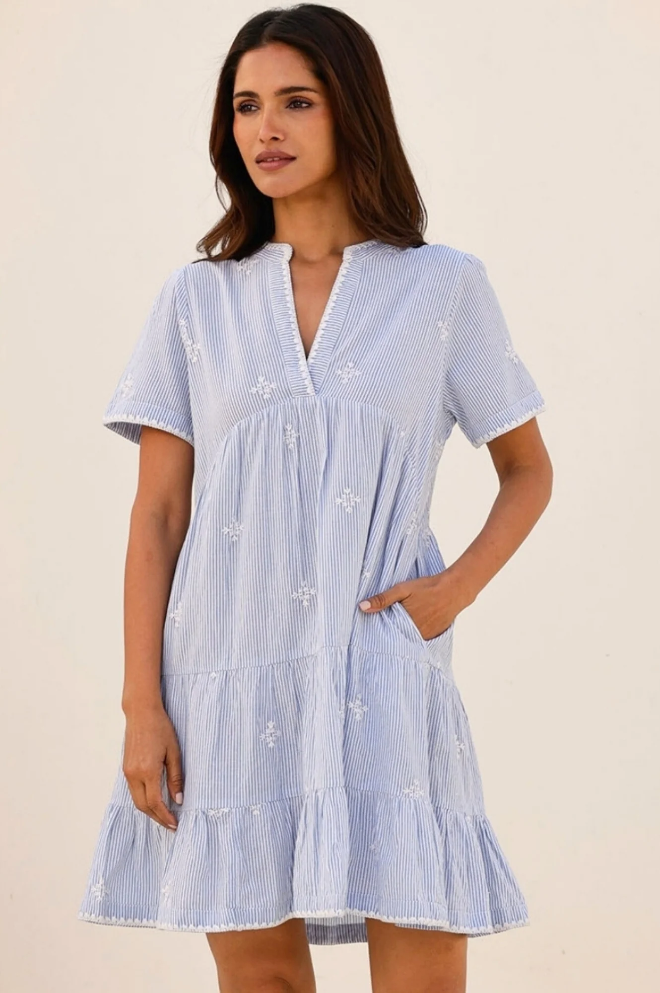 India Embroidered Organic Cotton Dress | Stripe Blue/White