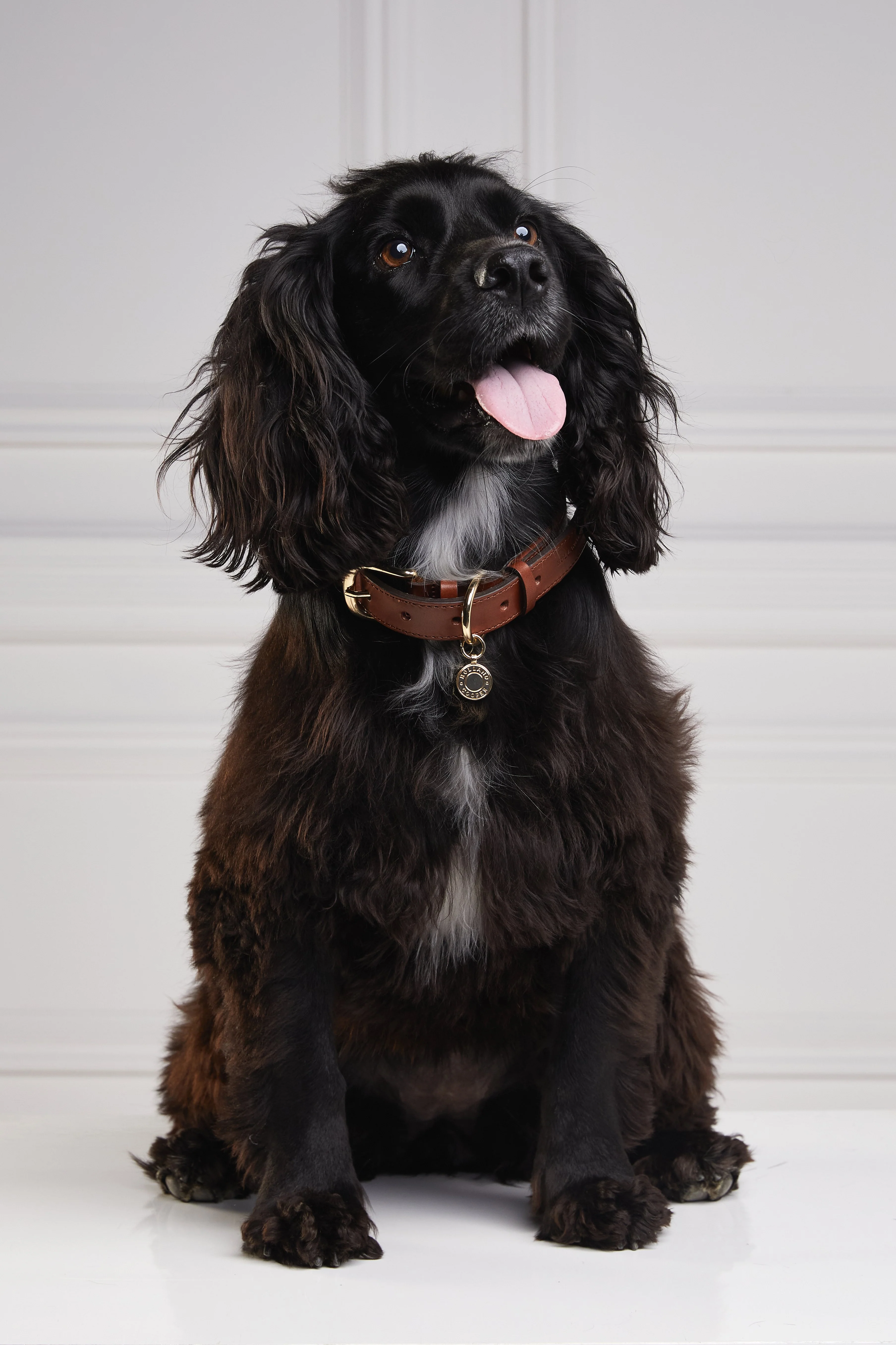 HC Classic Dog Collar (Chestnut & Tweed)