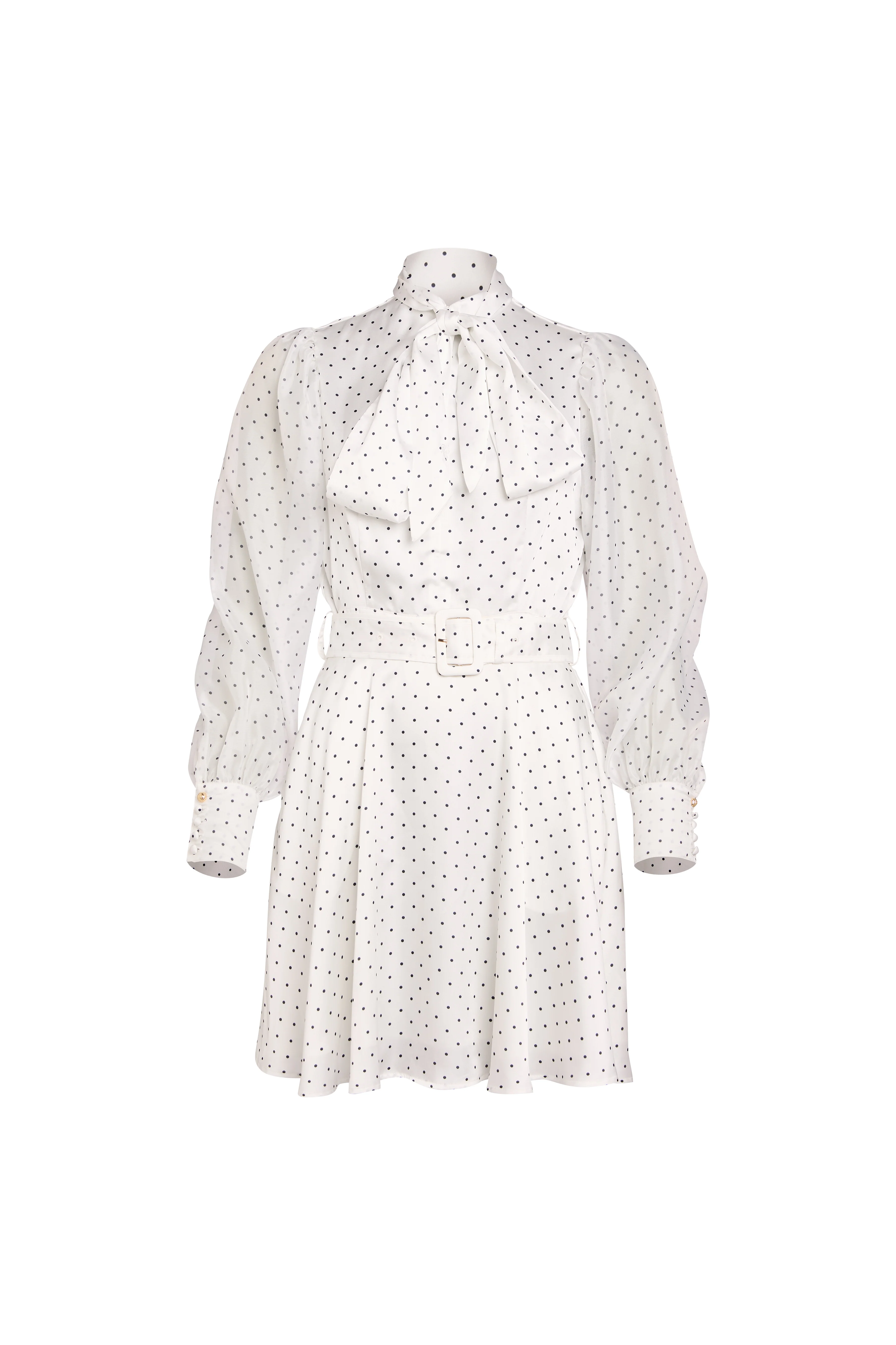 Ariella Mini Dress (White Polka Dot)