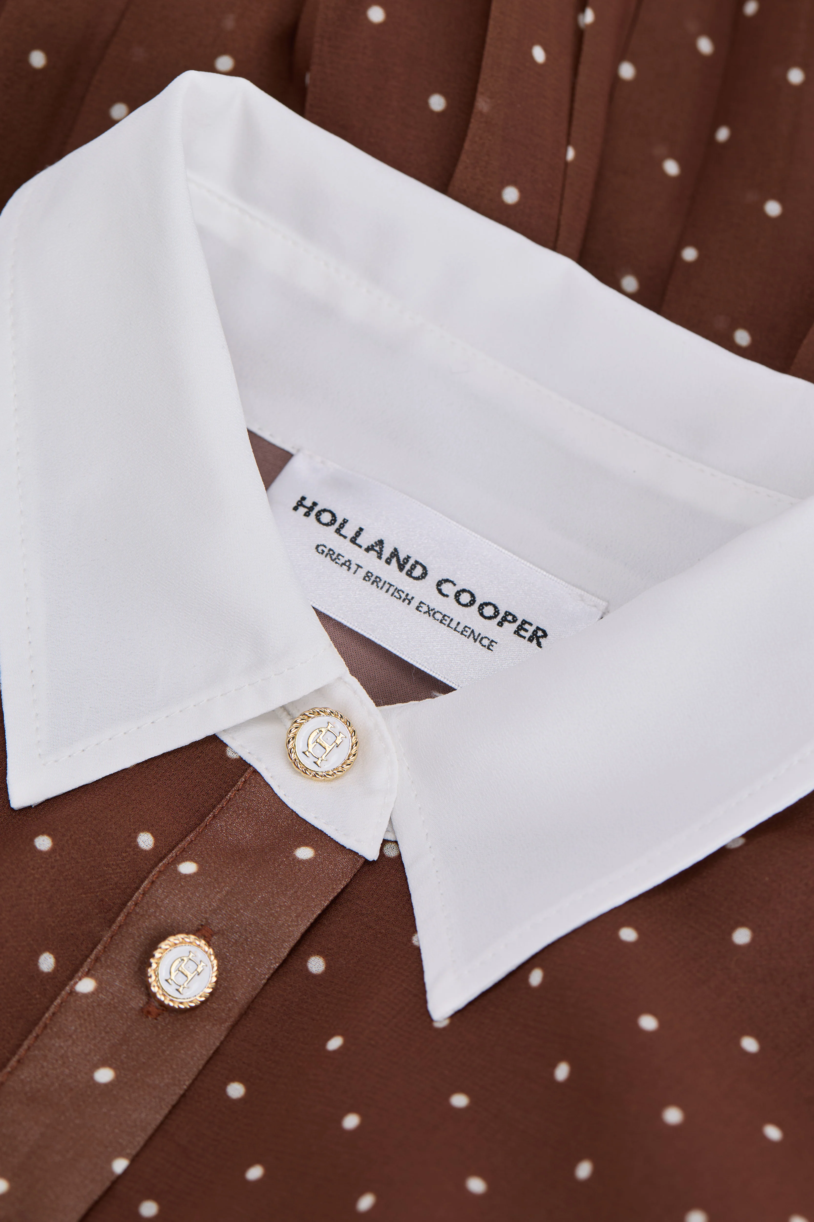 Annabel Pleated Maxi Dress (Chestnut Polka Dot)