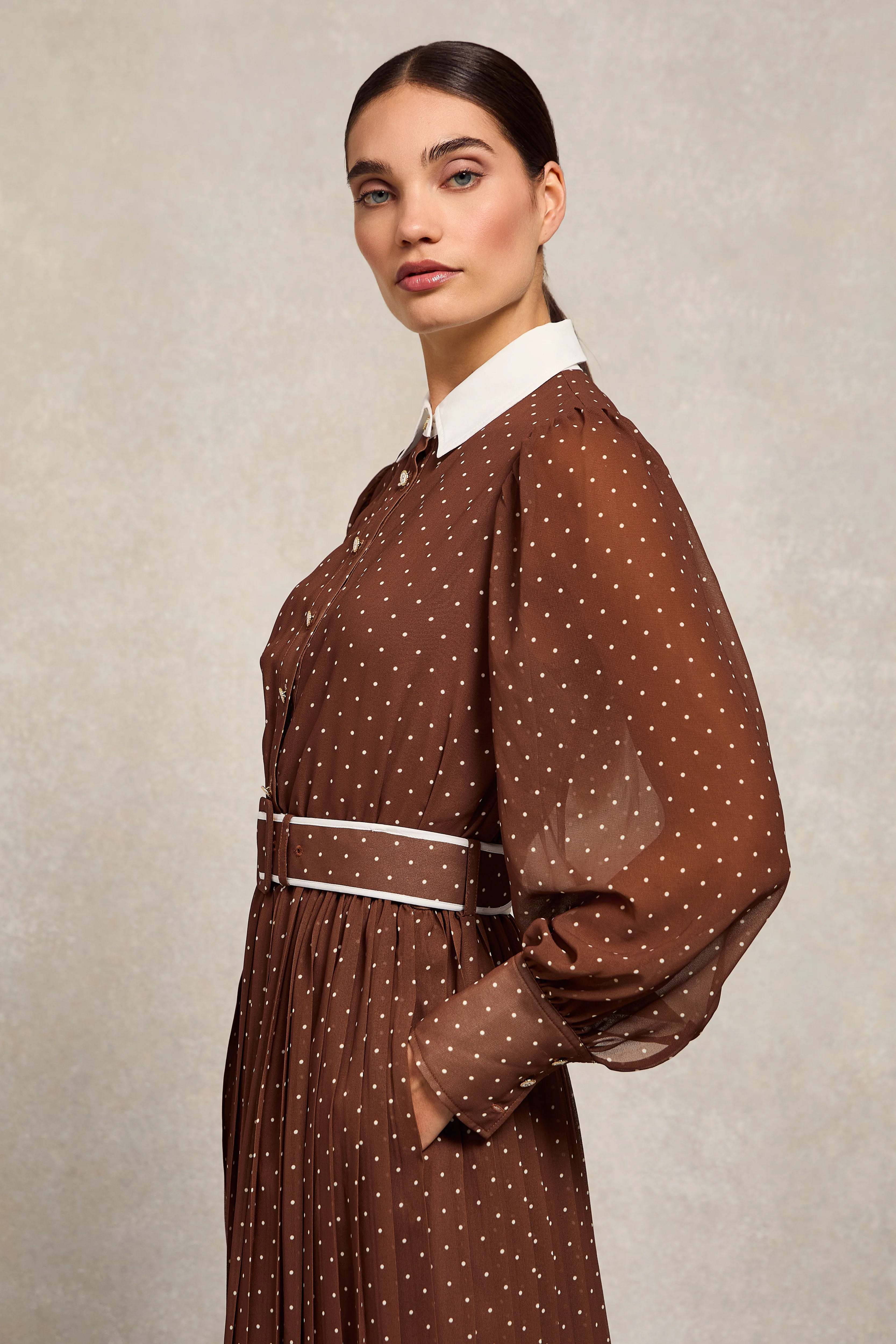 Annabel Pleated Maxi Dress (Chestnut Polka Dot)