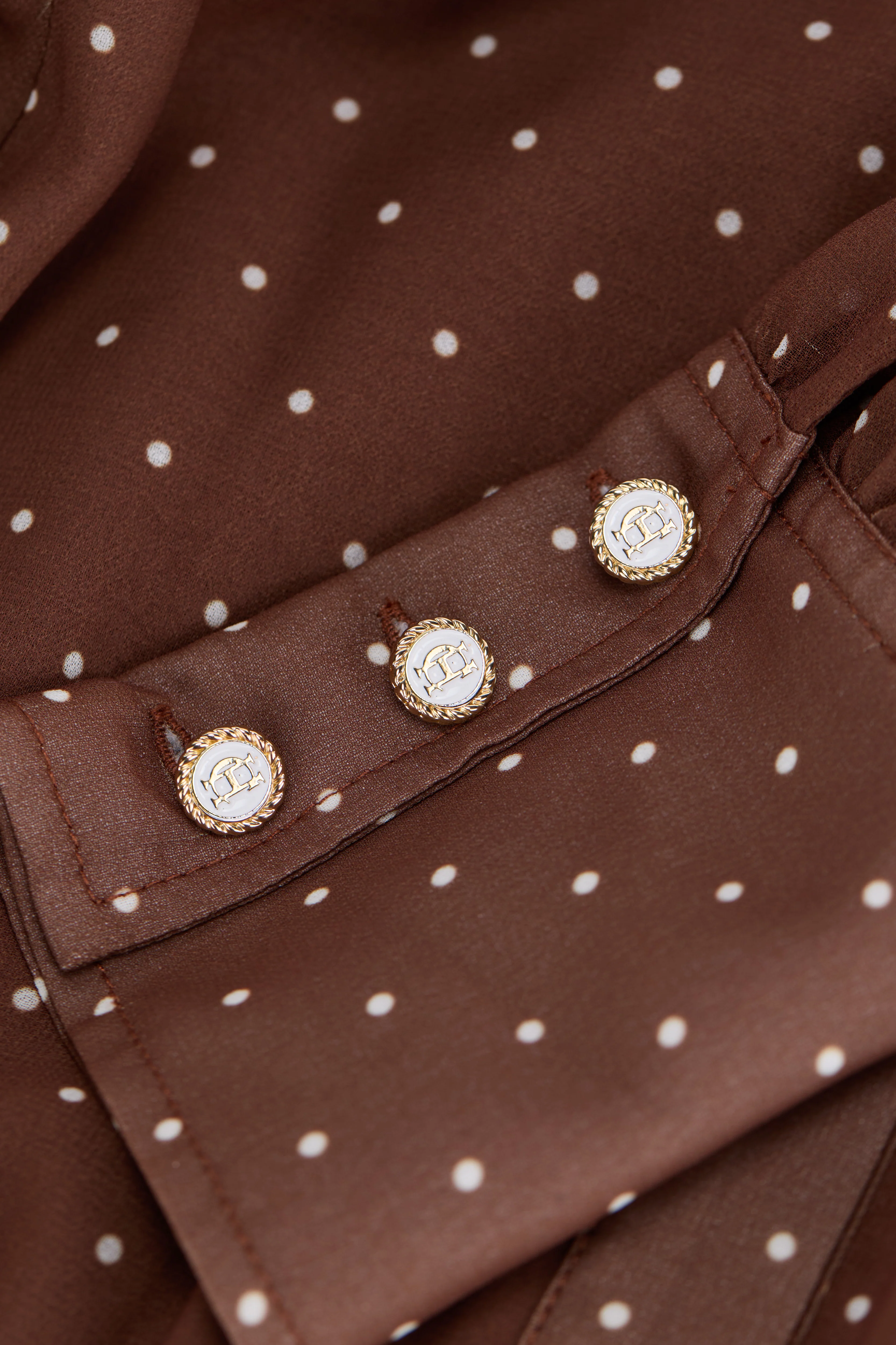 Annabel Pleated Maxi Dress (Chestnut Polka Dot)