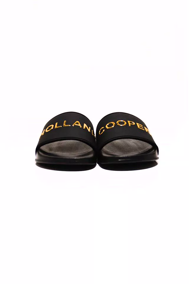 Pool Slide (Black Gold)