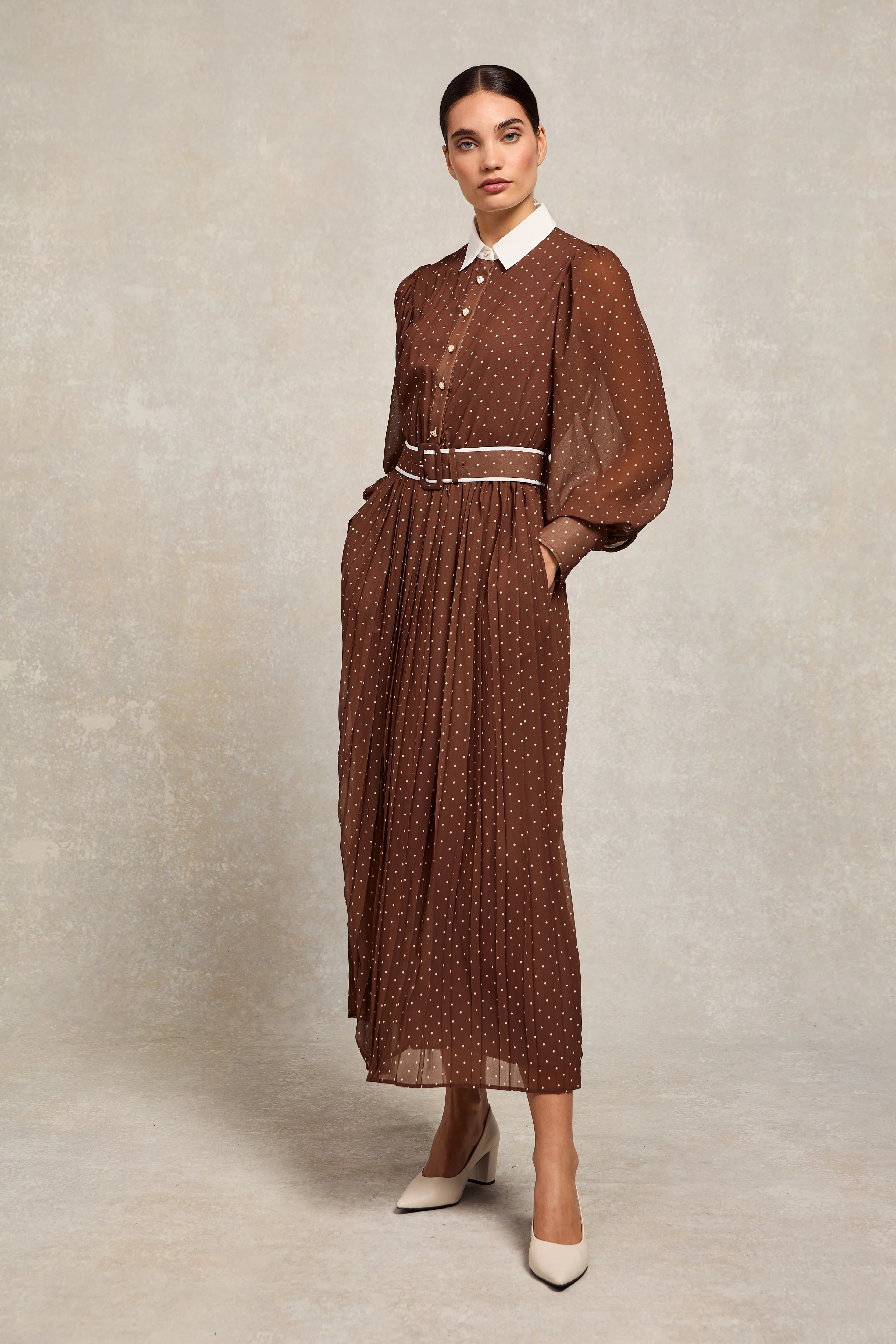 Annabel Pleated Maxi Dress (Chestnut Polka Dot)