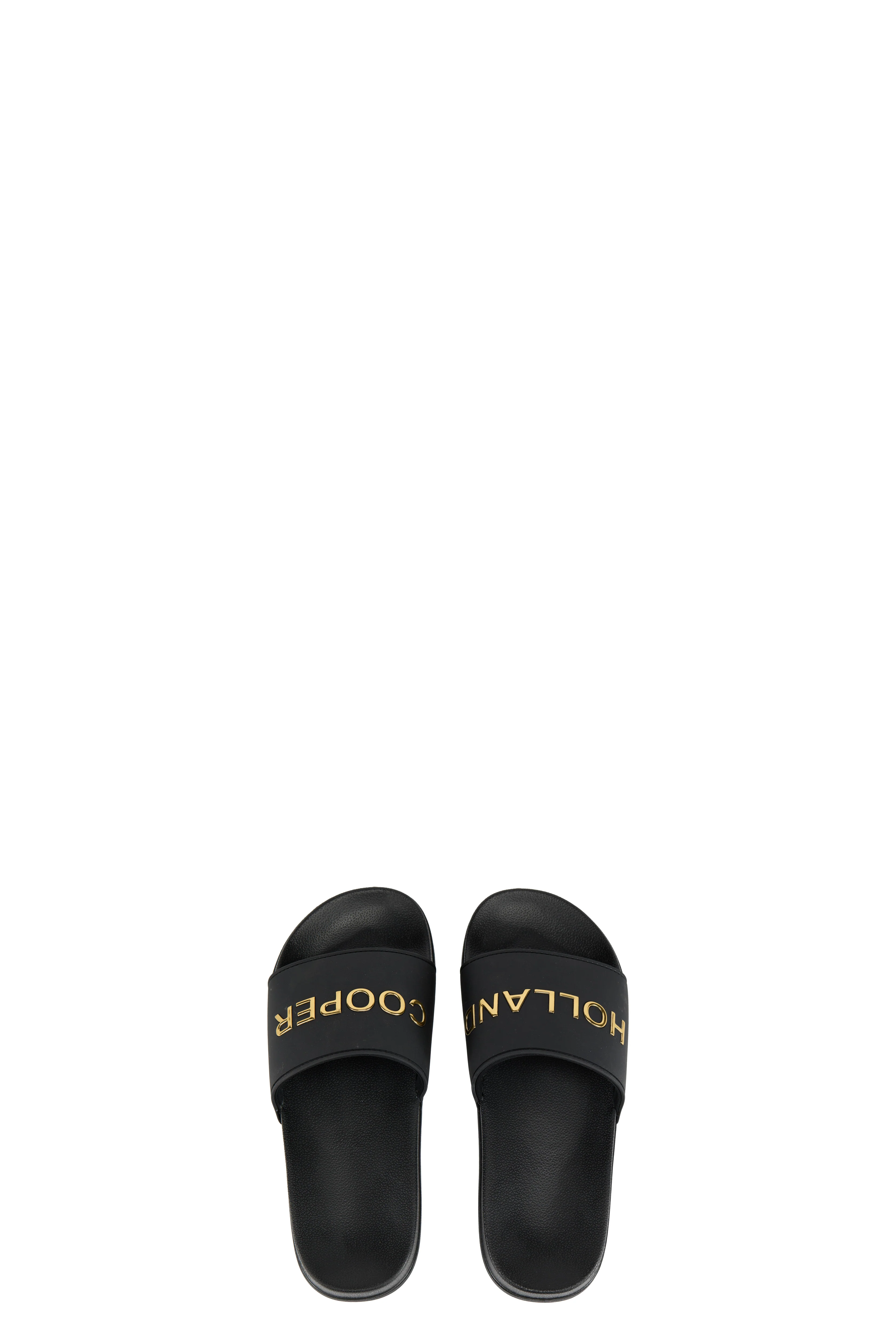 Pool Slide (Black Gold)