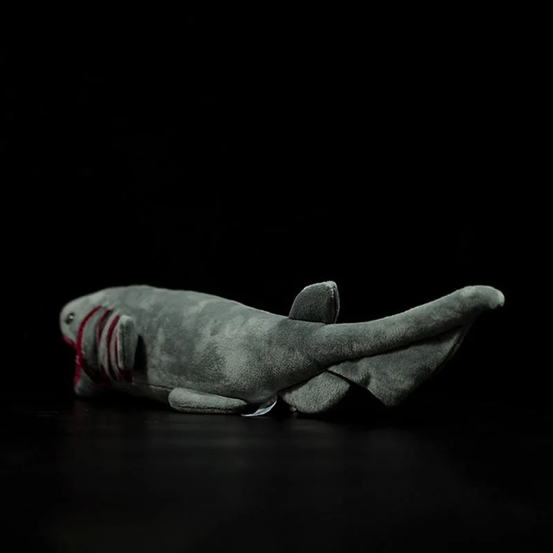 Frilled Shark Soft Stuffed Plush Toy