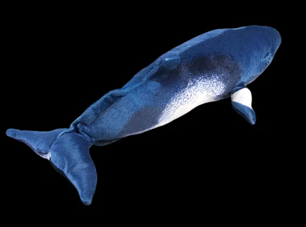 Minke Whale Soft Stuffed Plush Toy
