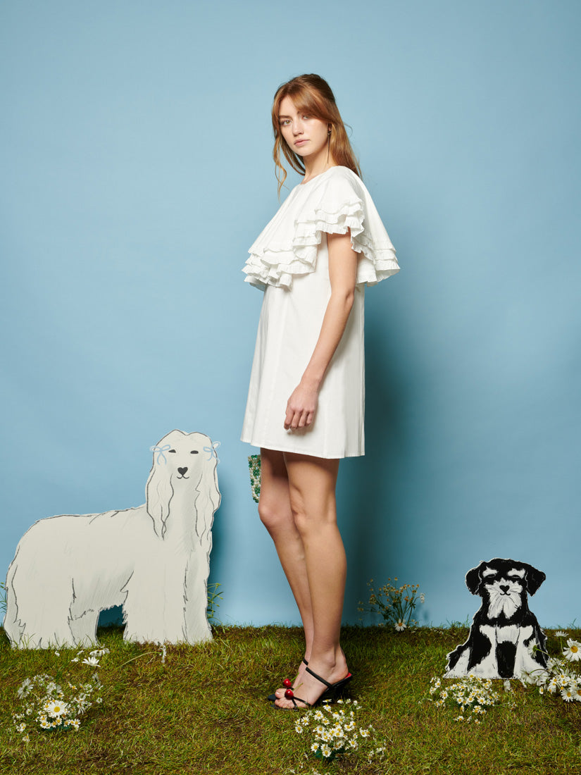 Collie Lace Trim Mini Dress