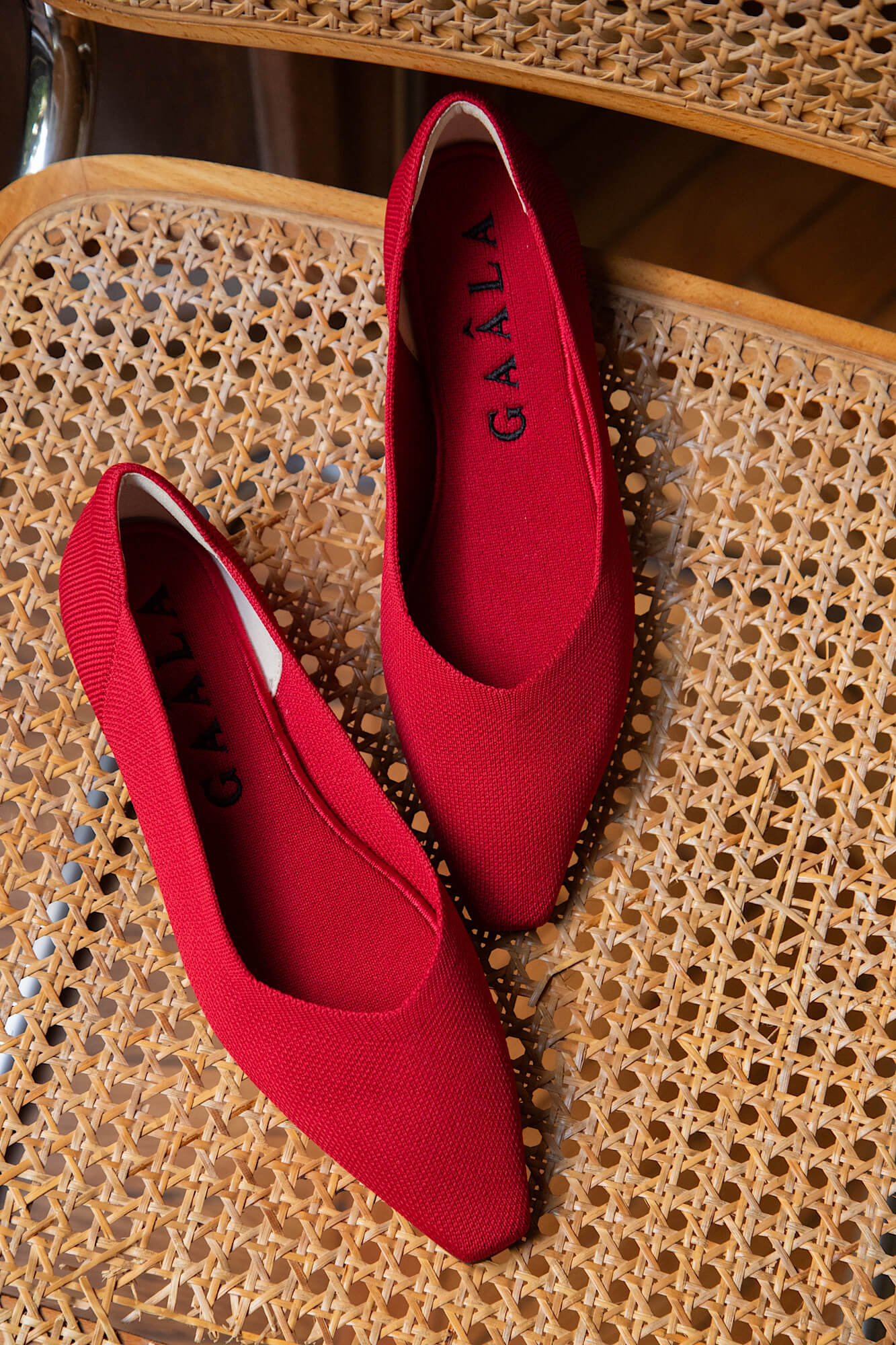 Celine Recycled Ballet Flats