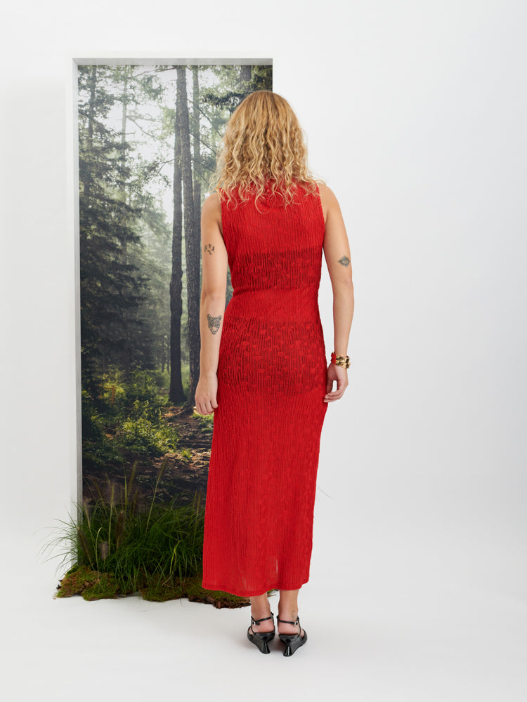 Allegra Sheer Midi Dress