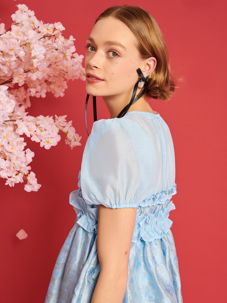 Brooke Organza Mini Dress