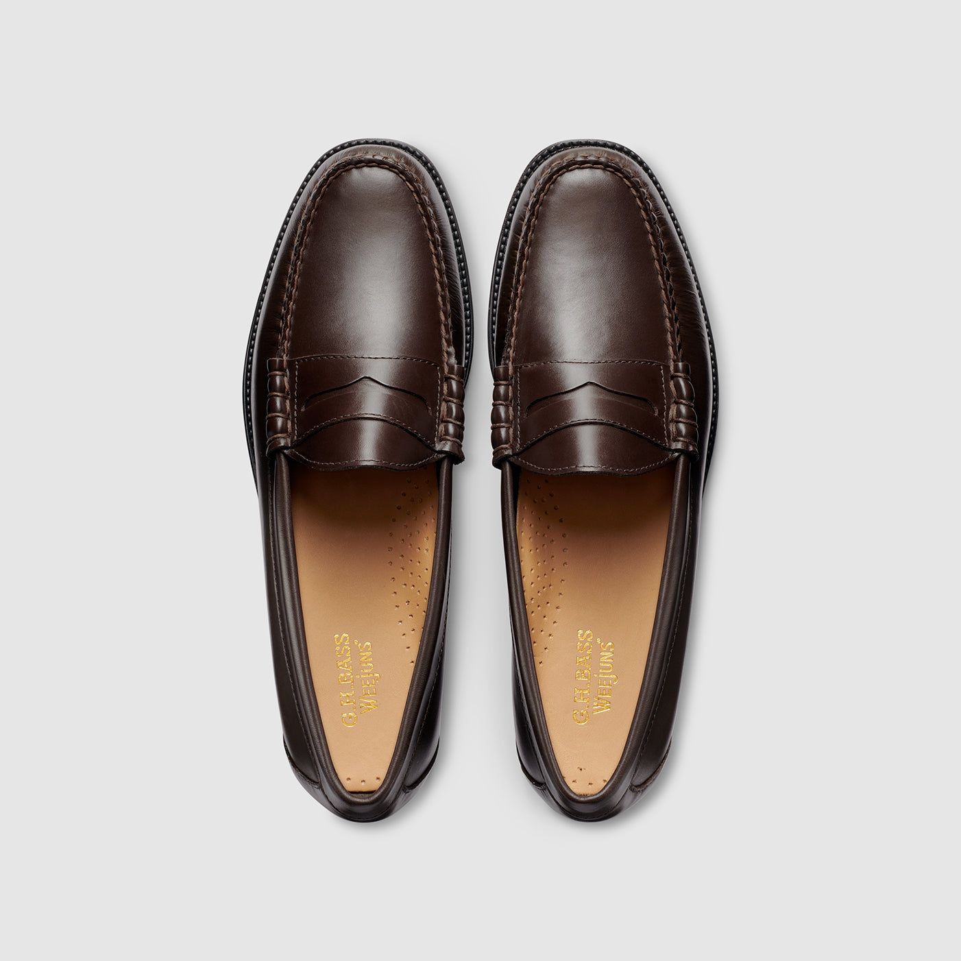 MENS LARSON EASY WEEJUNS LOAFER