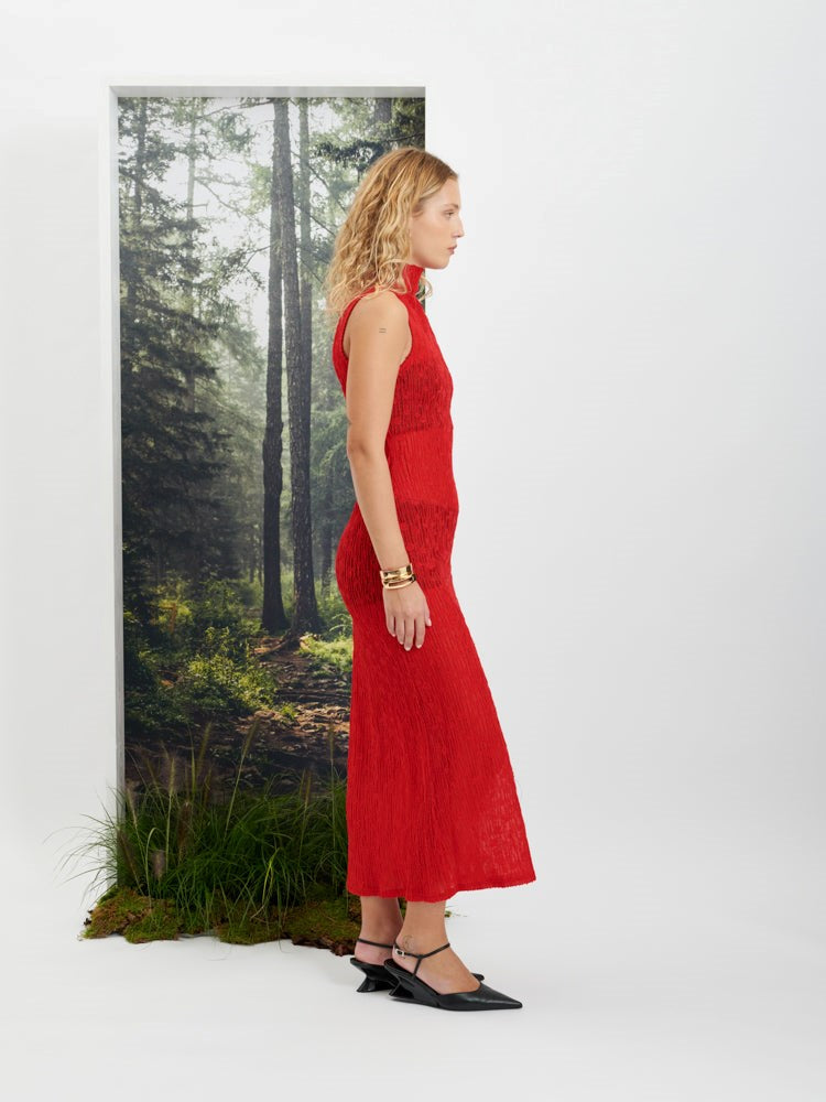 Allegra Sheer Midi Dress