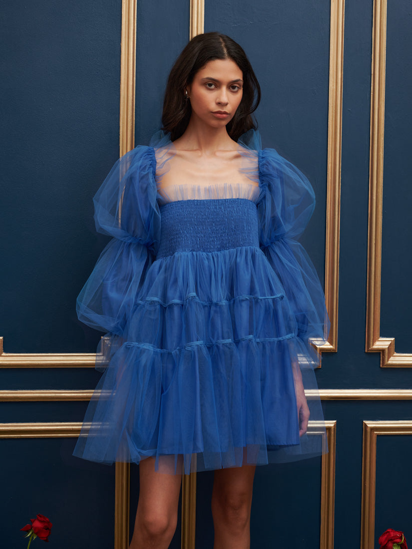 Mystery Tulle Mini Dress
