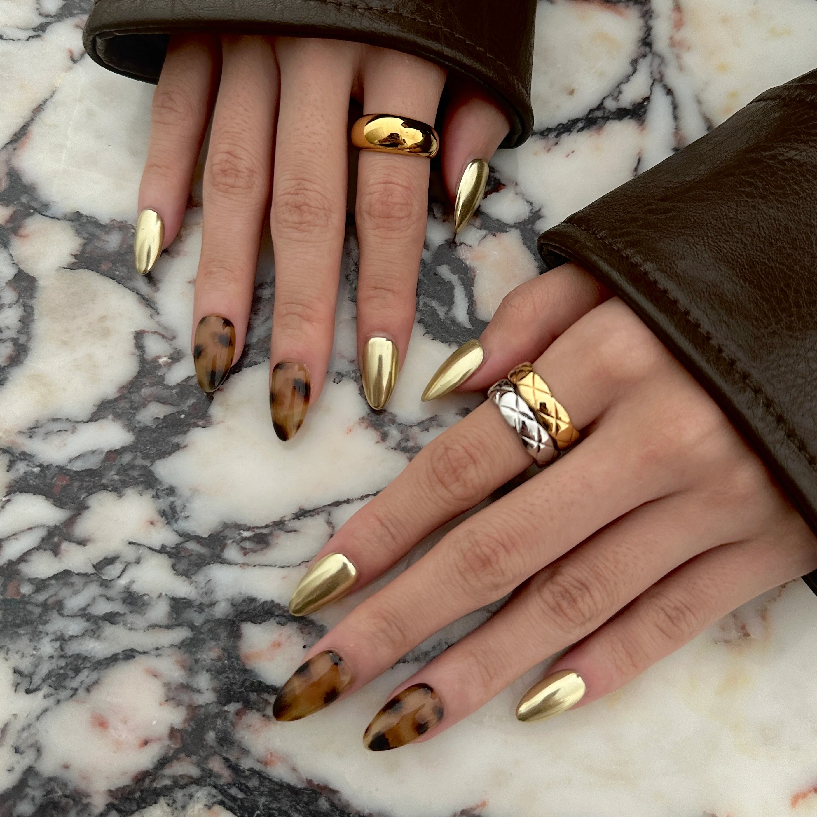 Golden Tortoiseshell