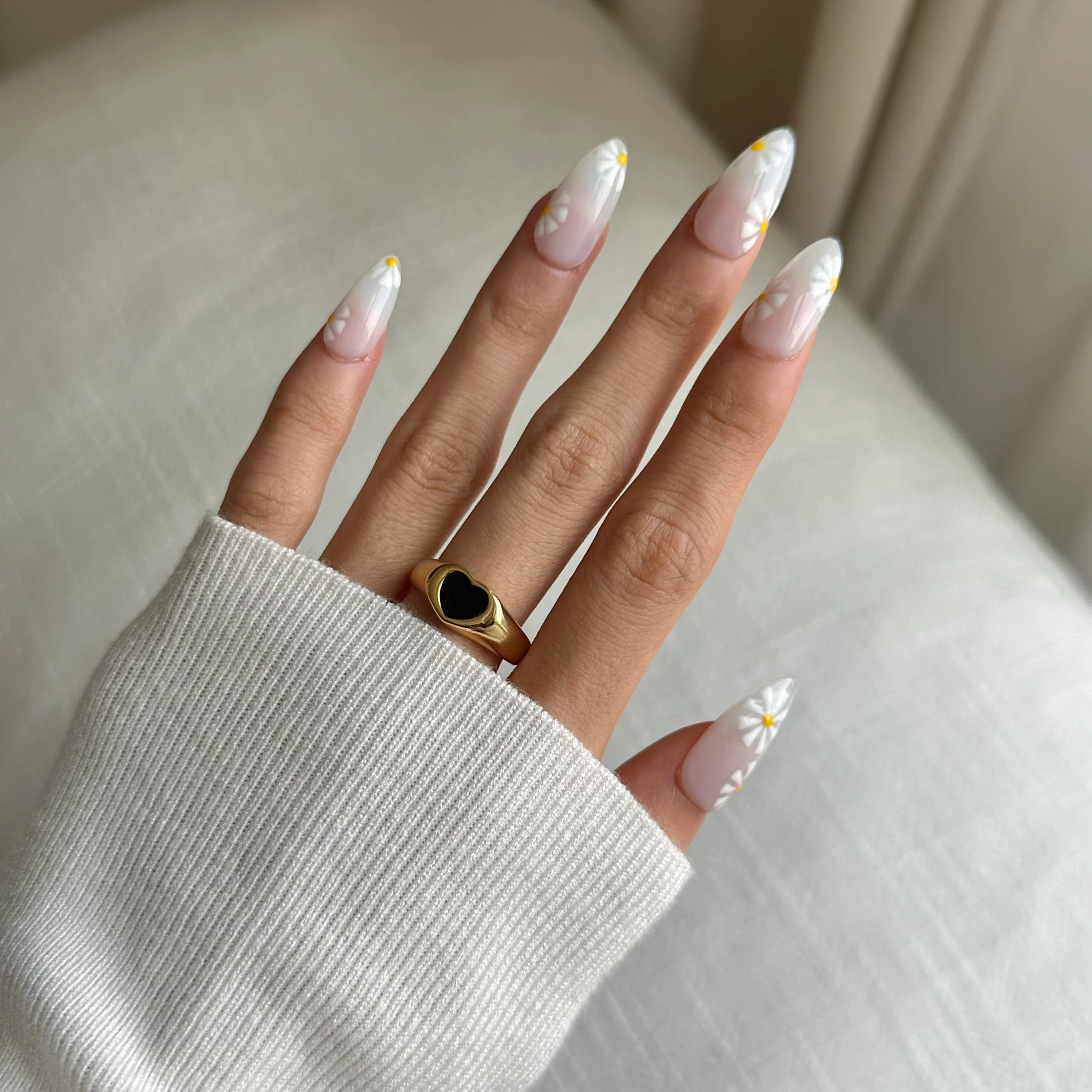 Daisy Dream