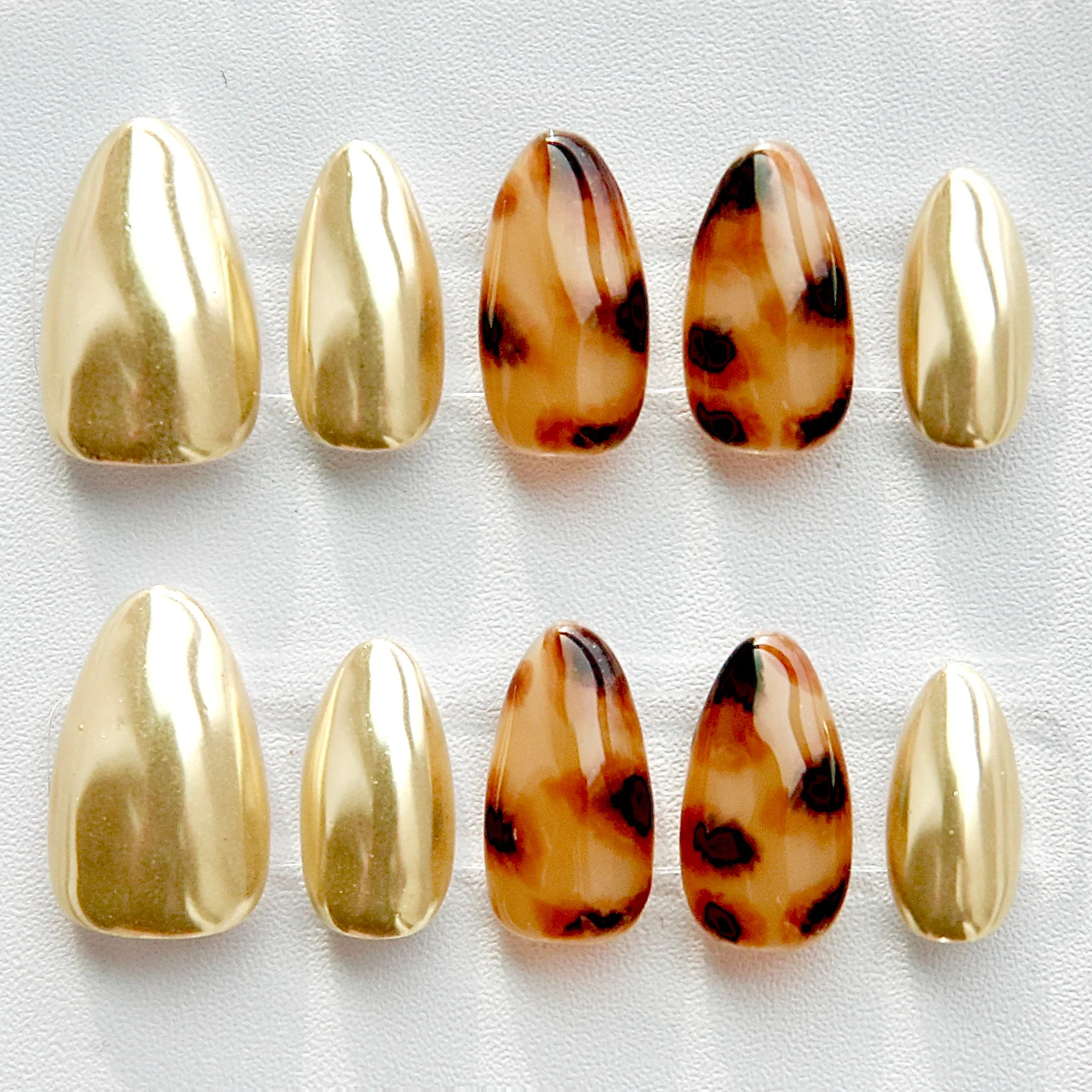 Golden Tortoiseshell