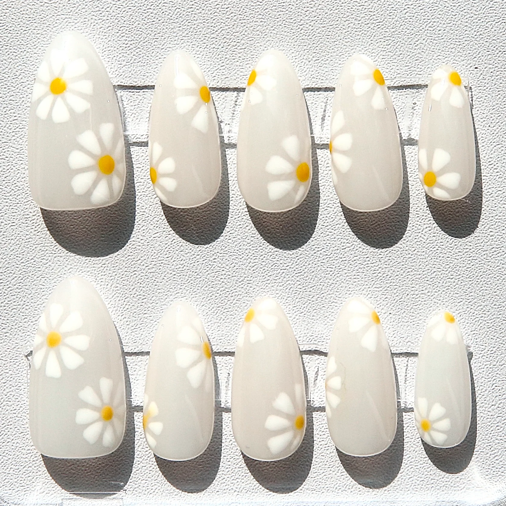 Daisy Dream