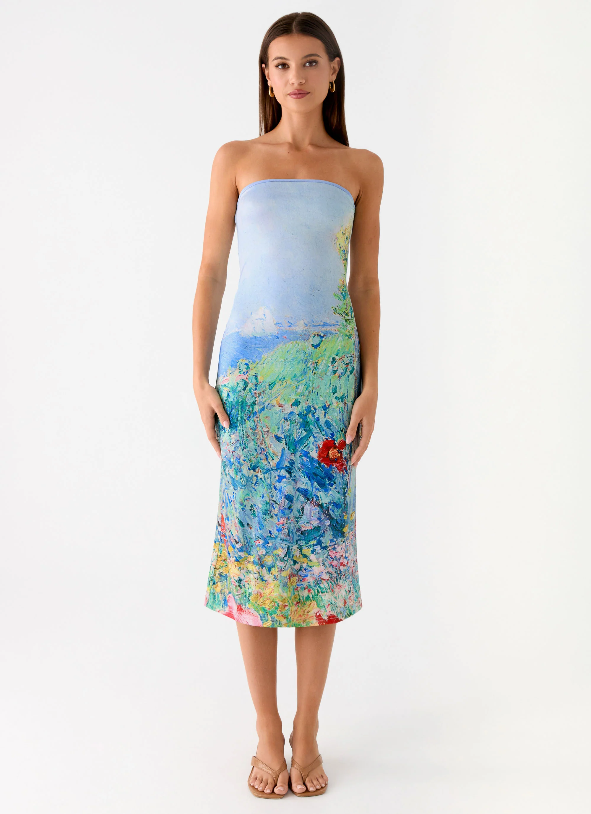 Niko Strapless Midi Dress - Spring Garden