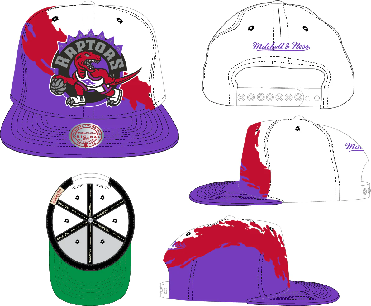 Toronto Raptors HWC NBA Paintbrush Mitchell & Ness Snapback Hat