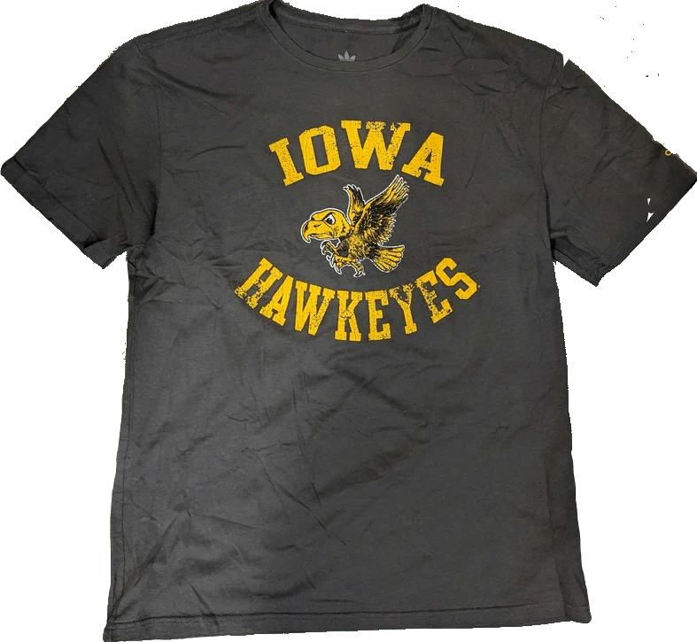 NCAA Mens adidas Iowa Hawkeyes Storm Gray Gym Class Tee